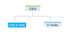 Chief of Staff Organizational Chart: Role Essentials — Next Level Coaching