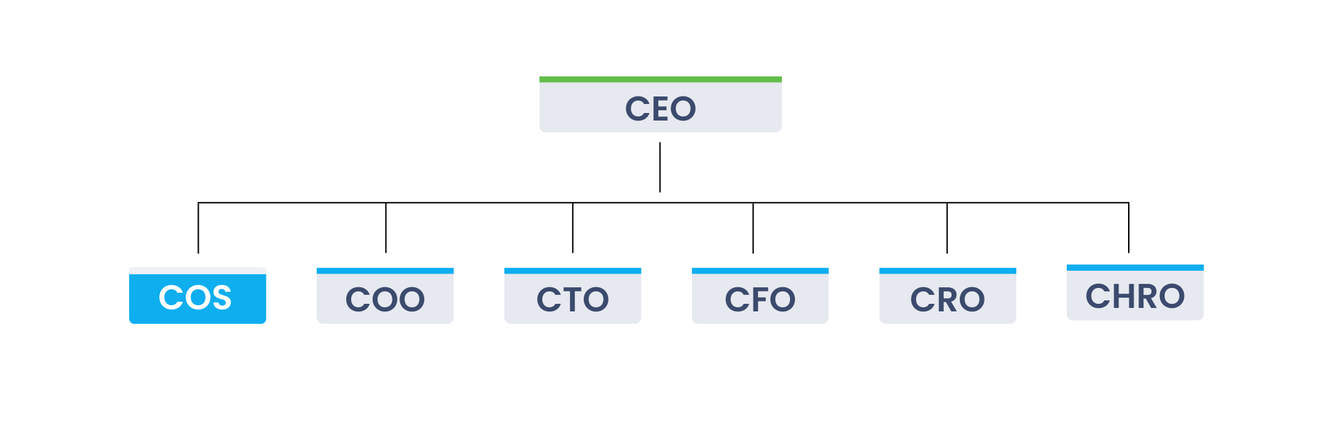Chief of Staff reporting structure to the CEO