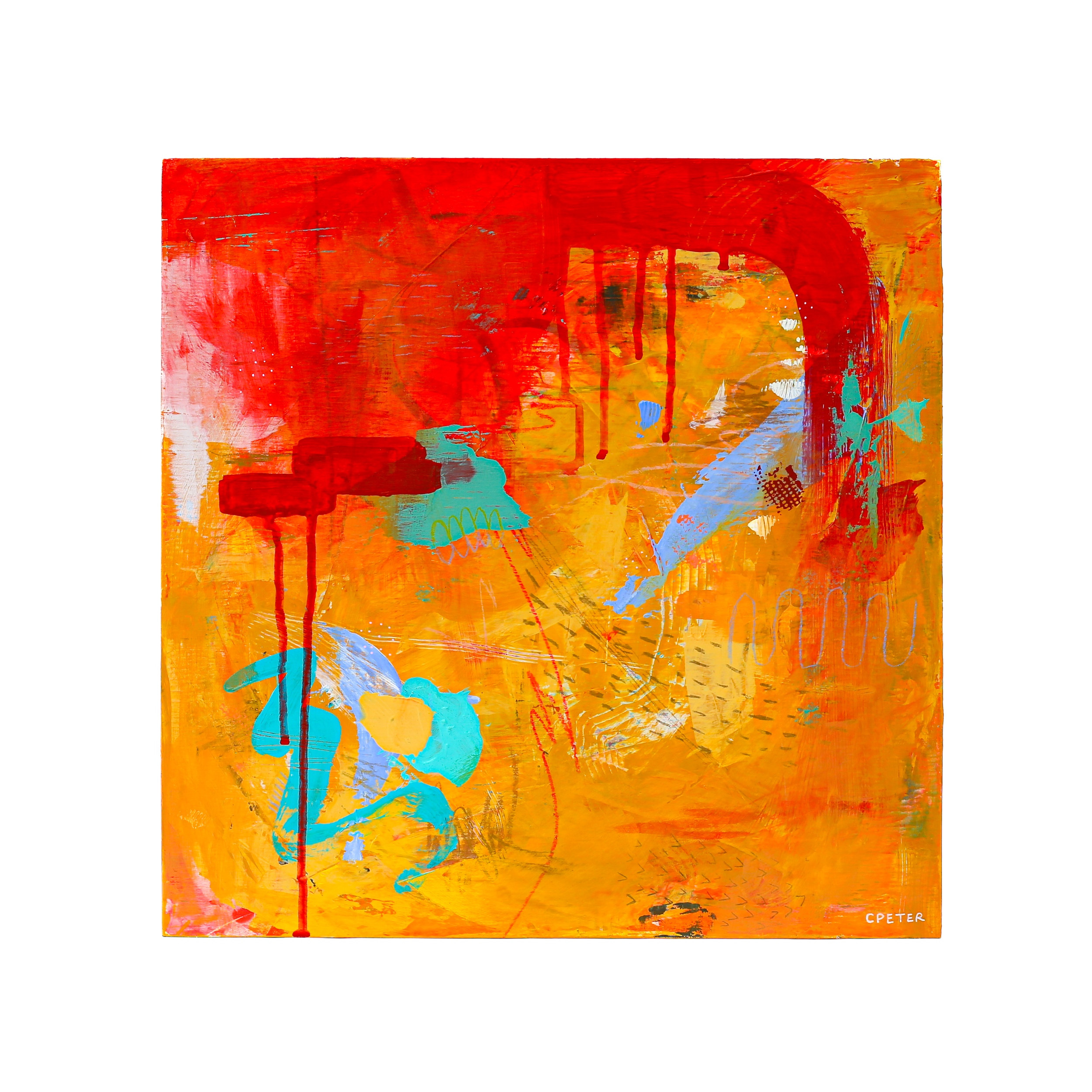 IMG_1350.png