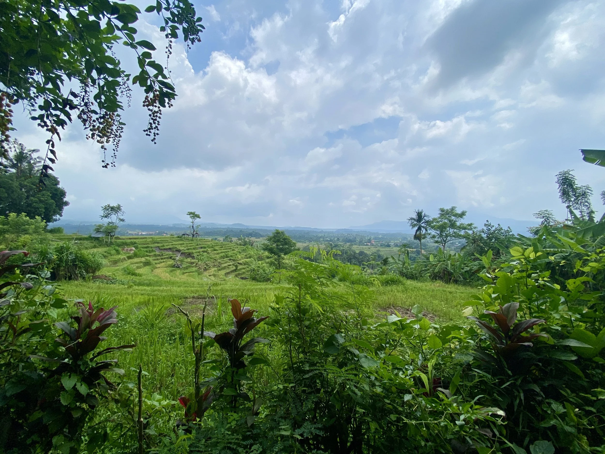 What paths have you walked away from?