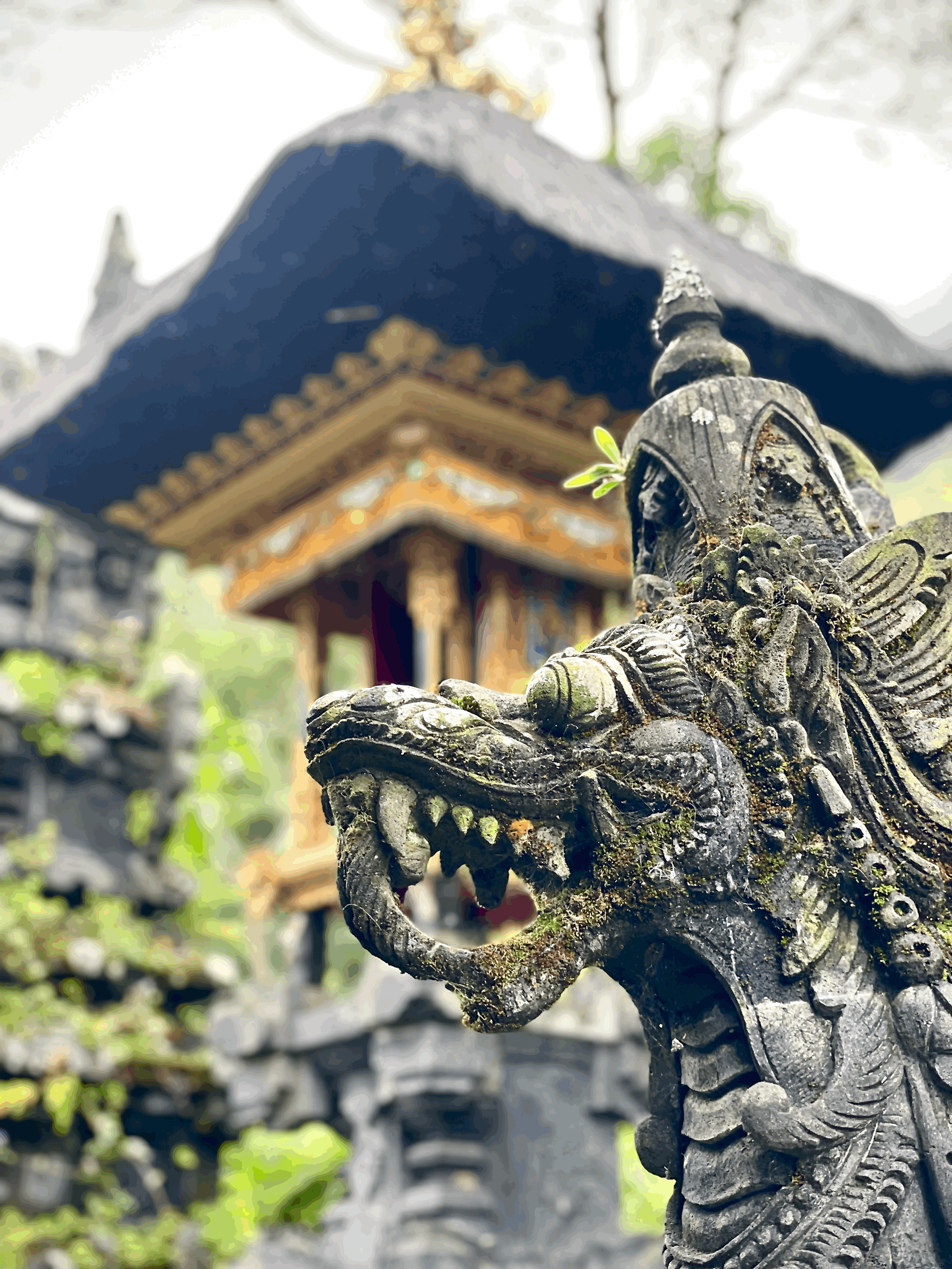 Bali Pilgrimage 2027