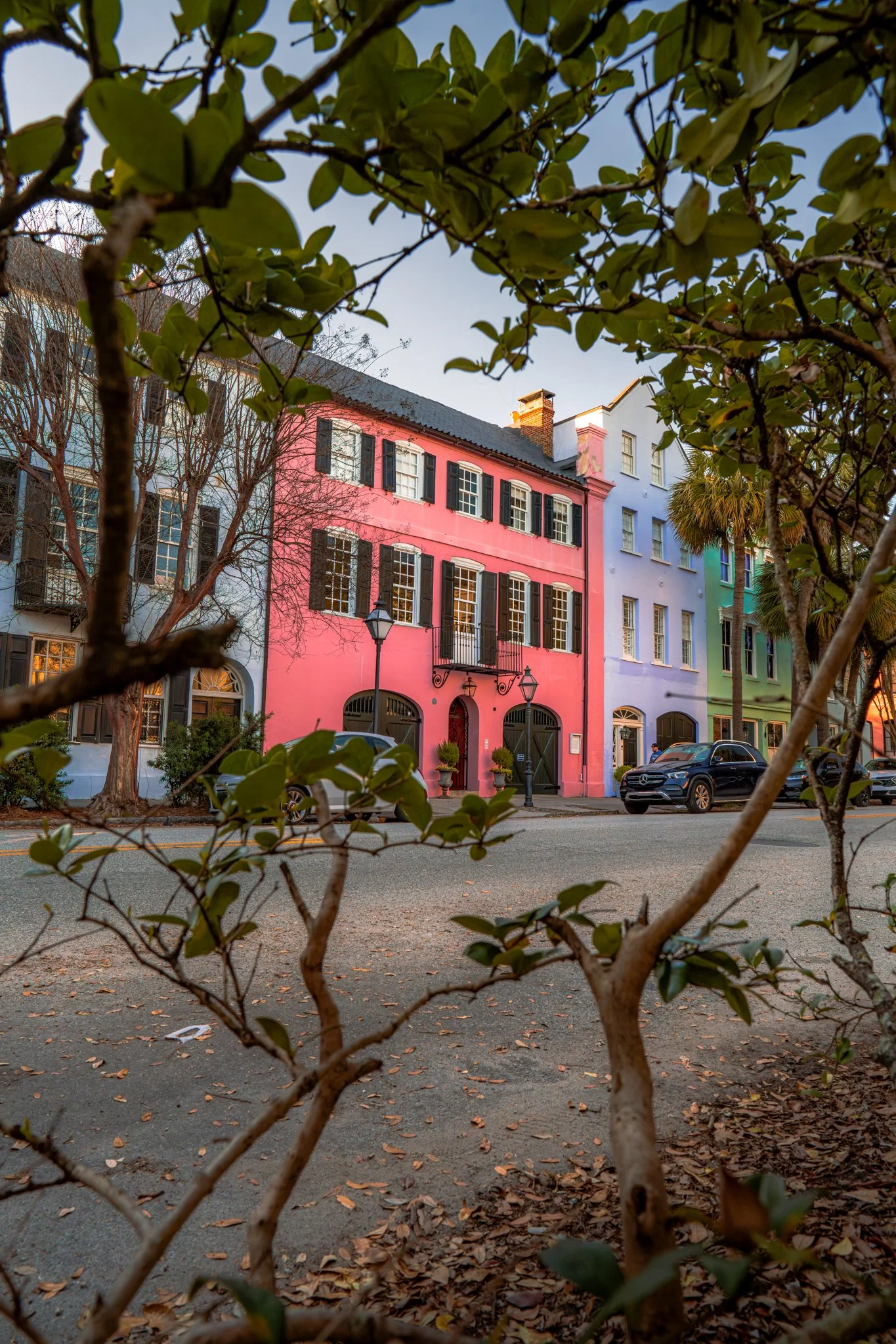 Colorful row of houses in pastel shades of blue, pink, purple, and green viewed through tree branches and leaves.