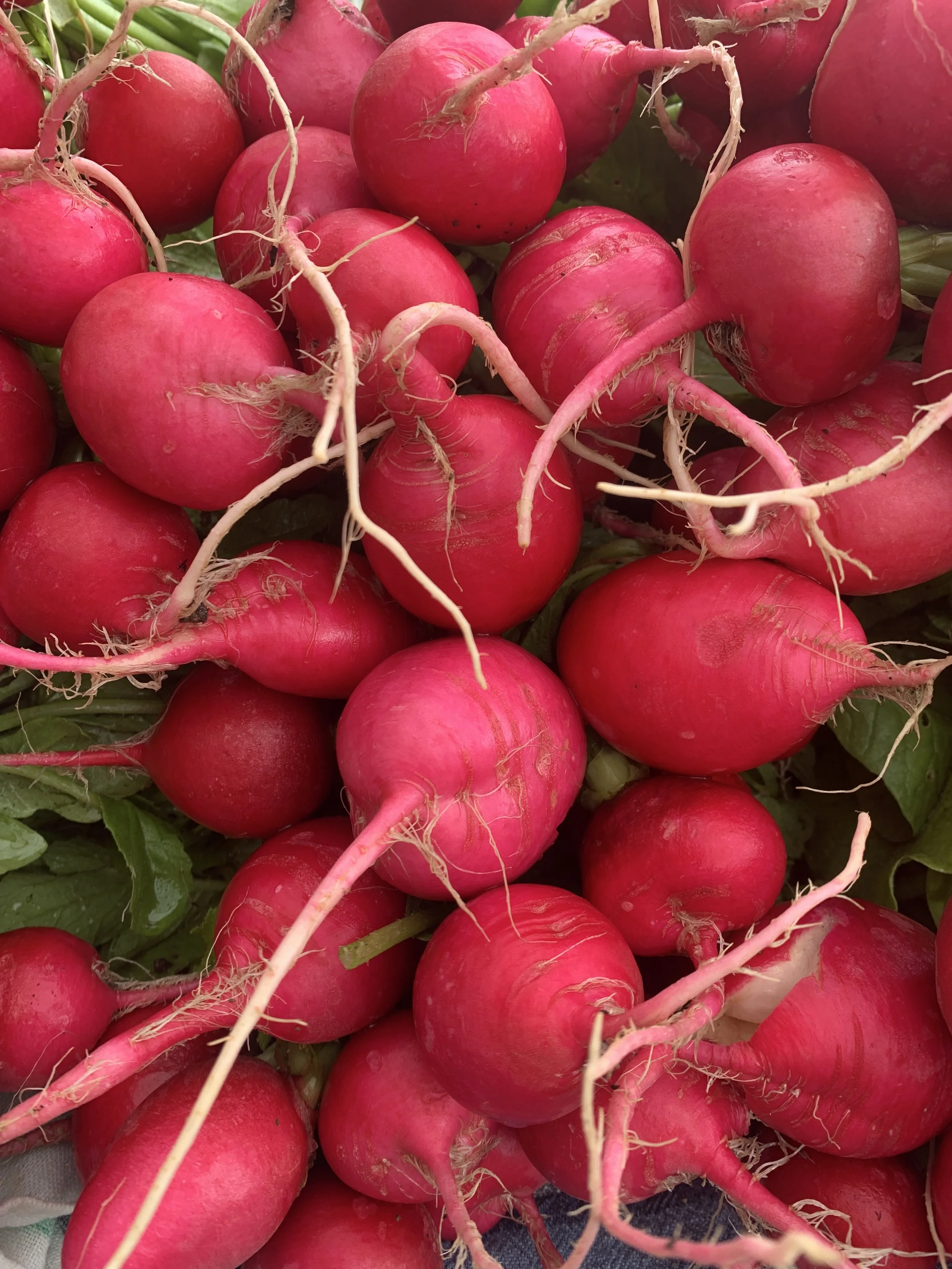 Tunkhannock Farmers Market at Creekside Gardens 25.JPG