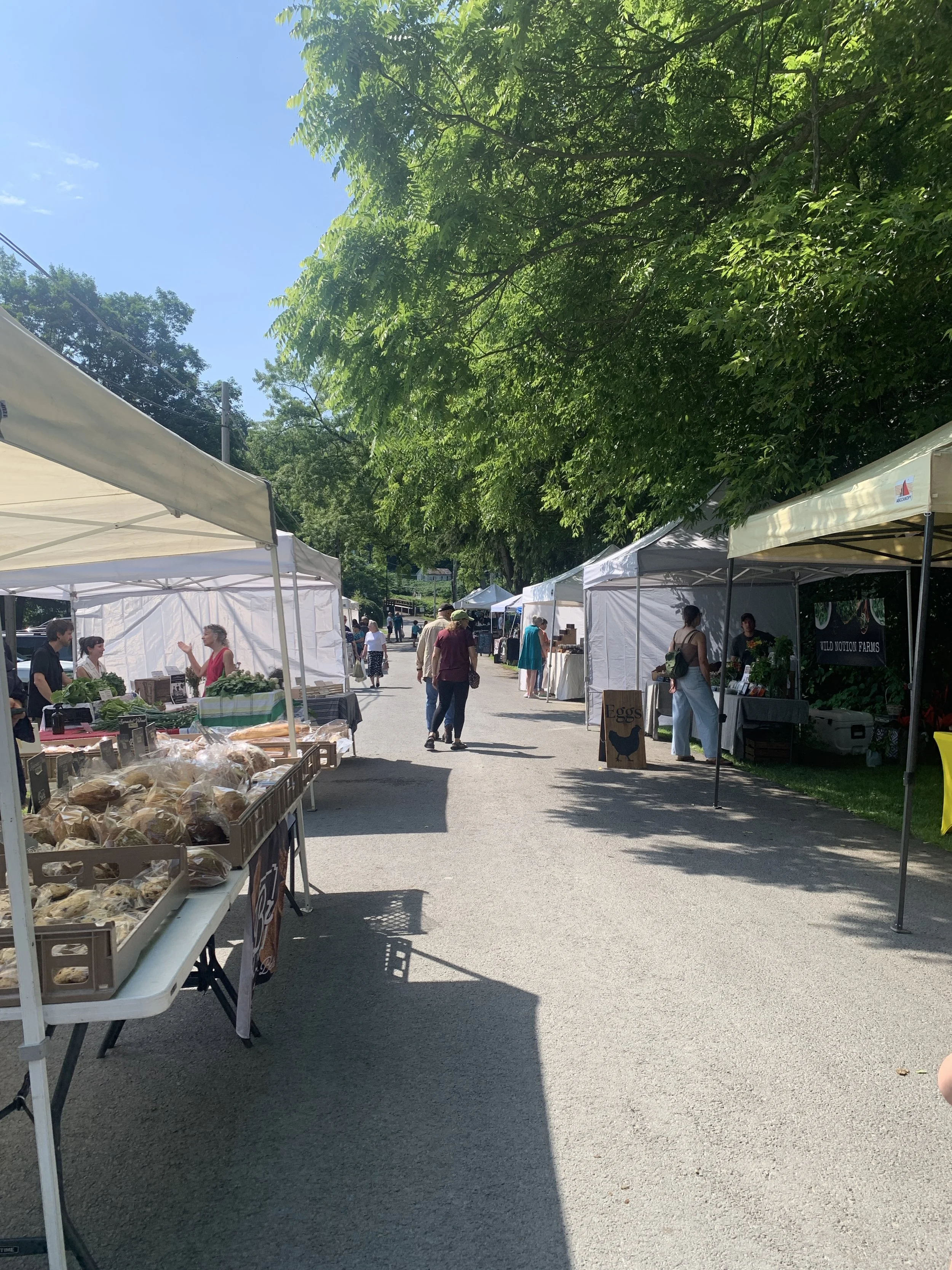 Tunkhannock Farmers Market at Creekside Gardens 27.JPG