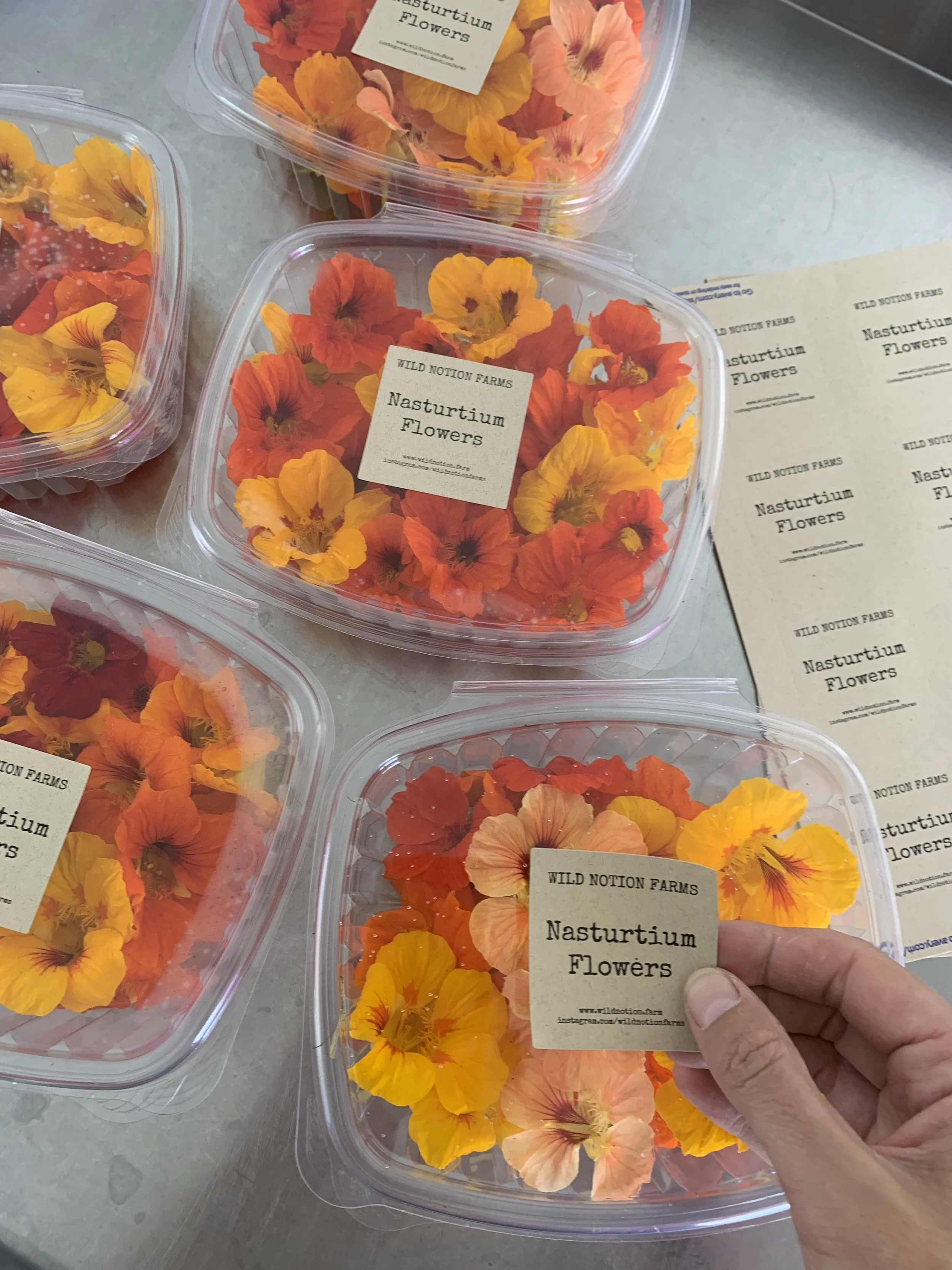 Edible flowers from wild notion farms in falls pa.JPG