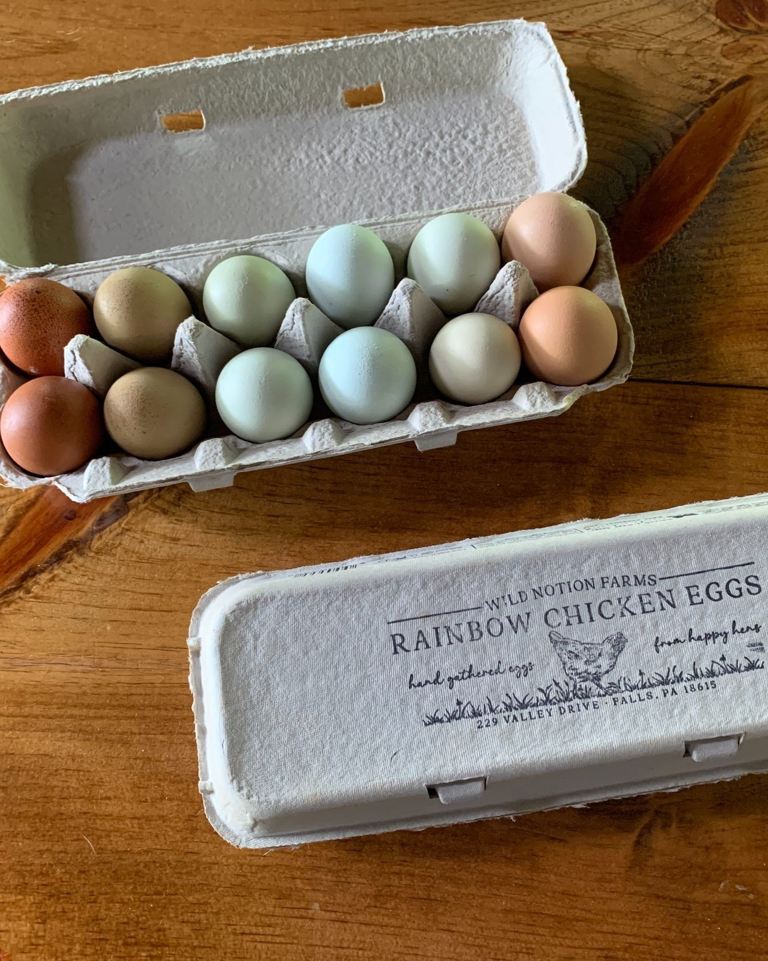 wild-notion-farms-farm-fresh-eggs-falls-pa.jpg