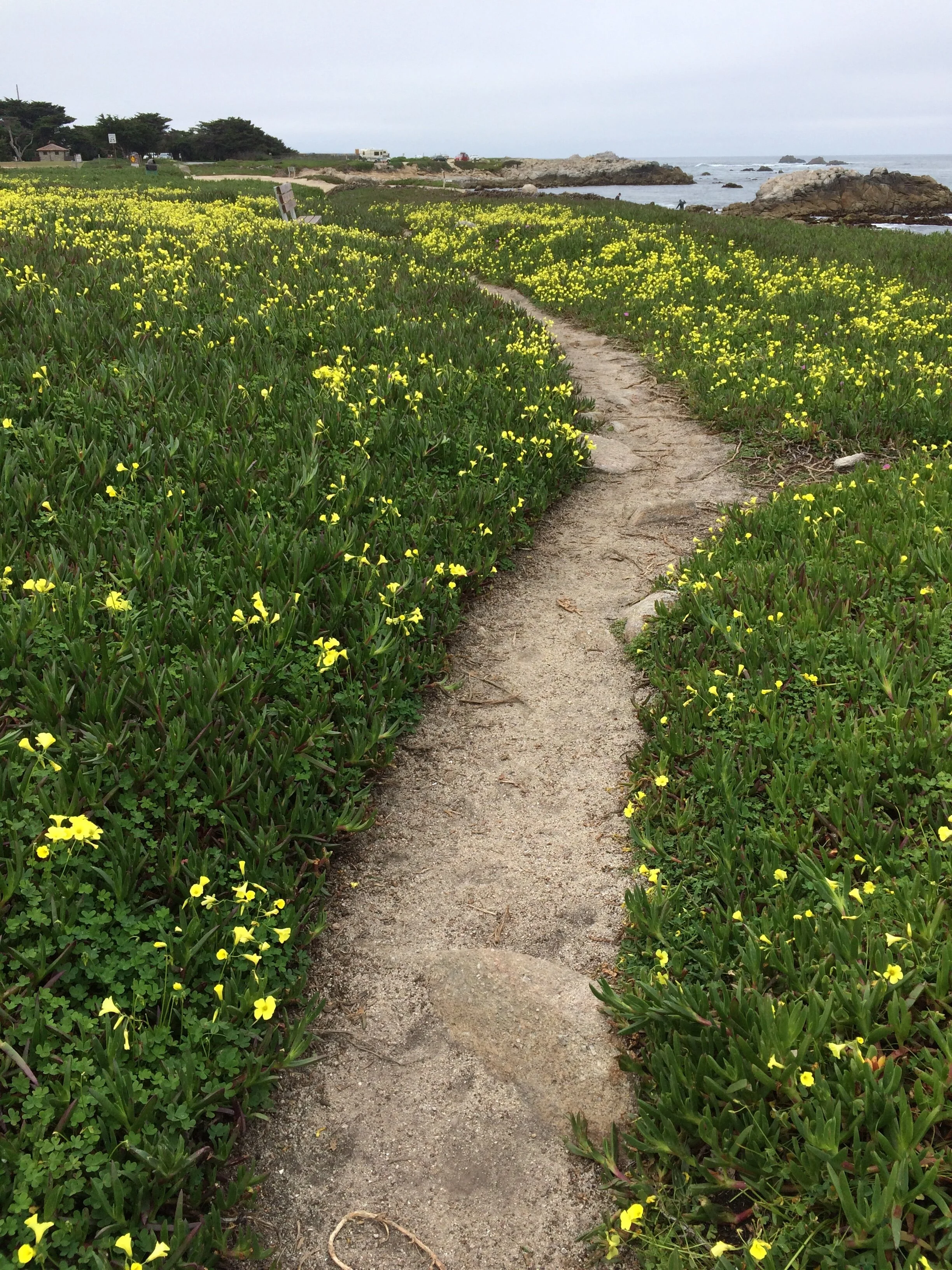 May is Mental Health Month