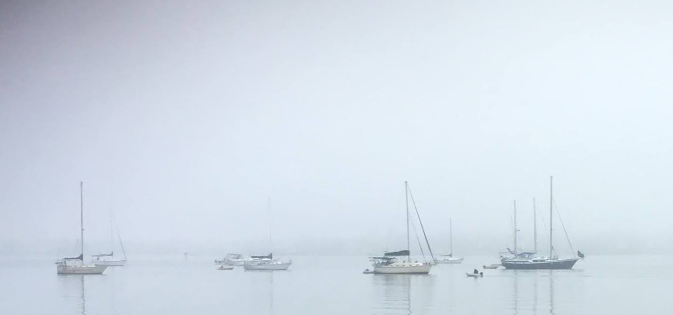 Navigating the Fog 