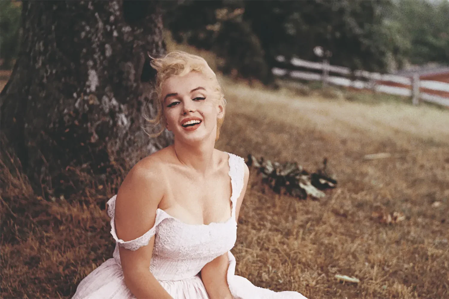 marilyn.webp