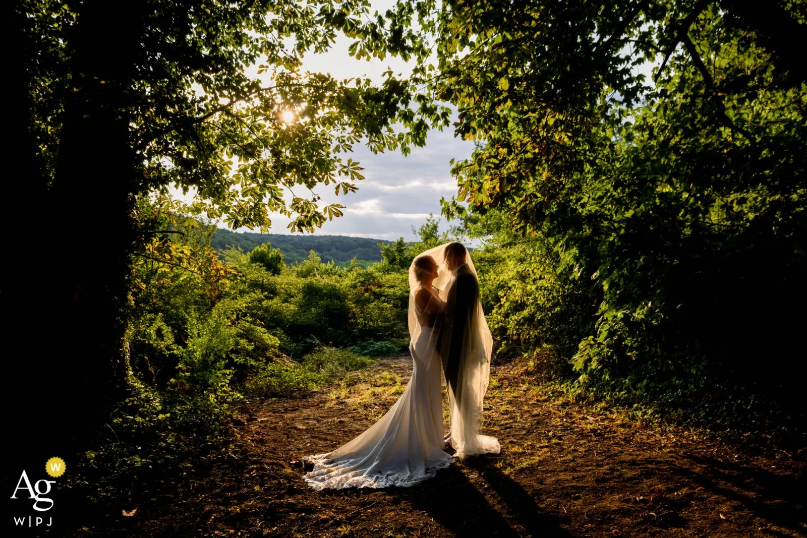 Un couple de mariés, en tenue de mariage, se tient sous un arbre dans une forêt, avec des rayons de soleil derrière eux.