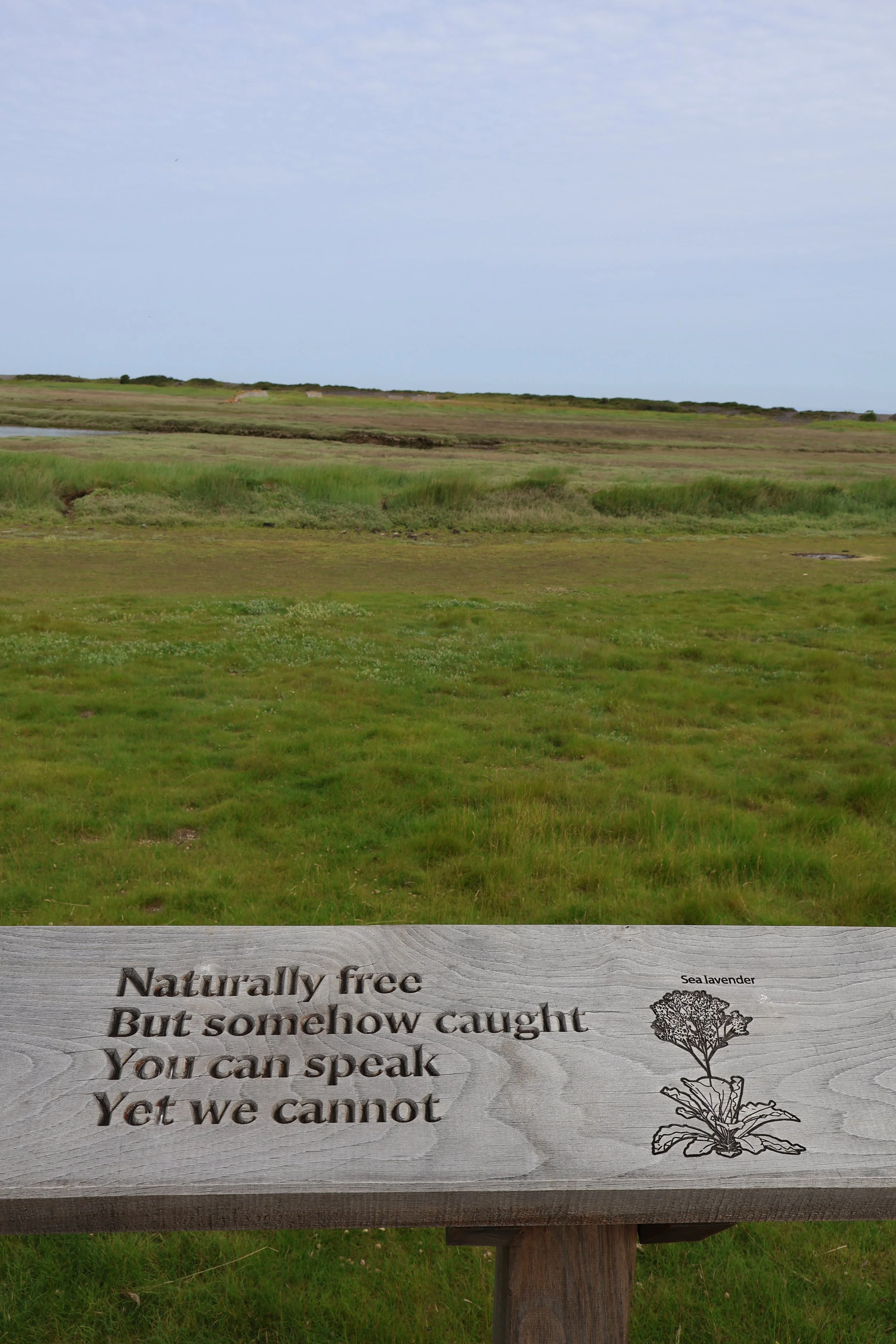 Local poetry installation