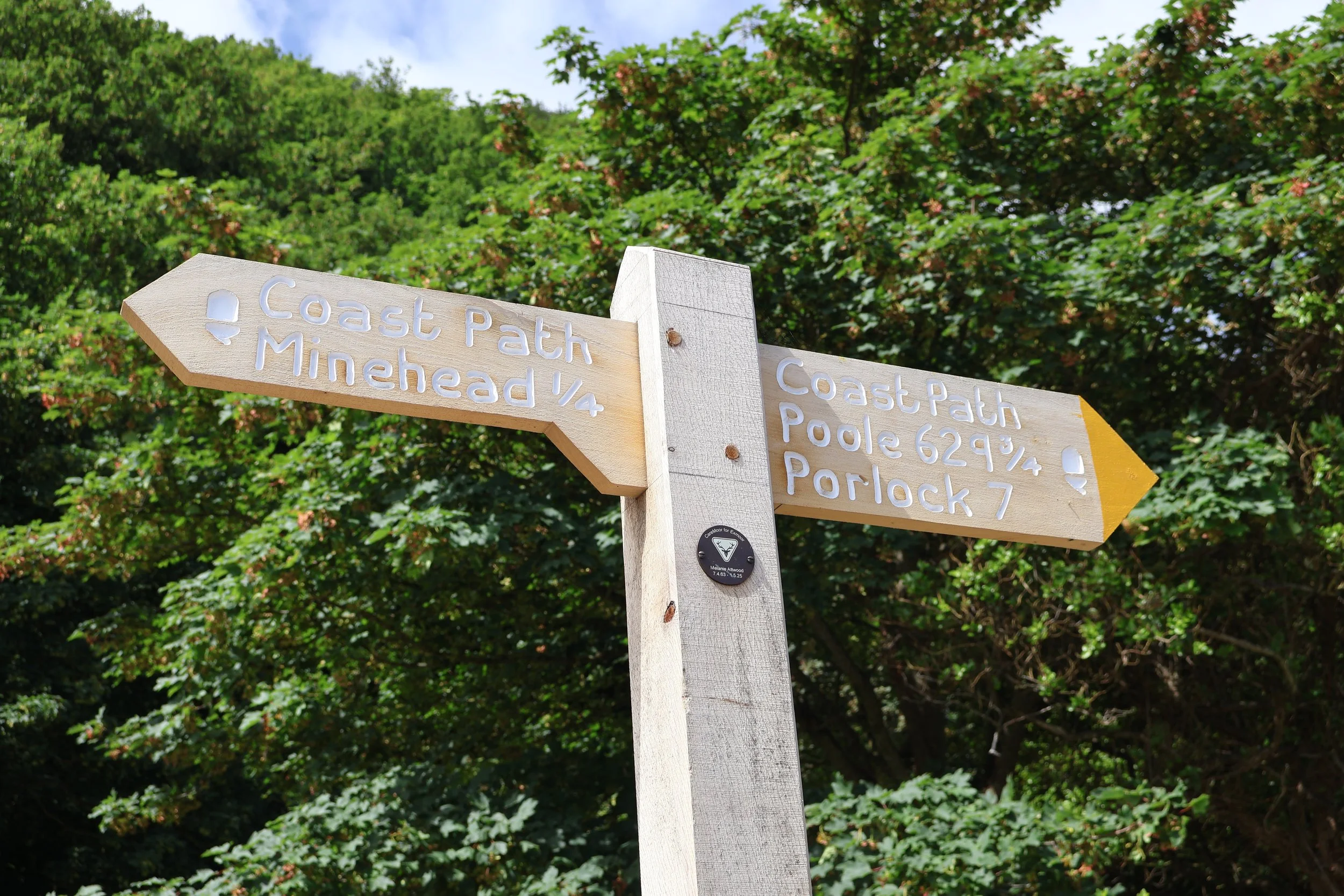 South West Coast Path Day 1: Minehead to Porlock
