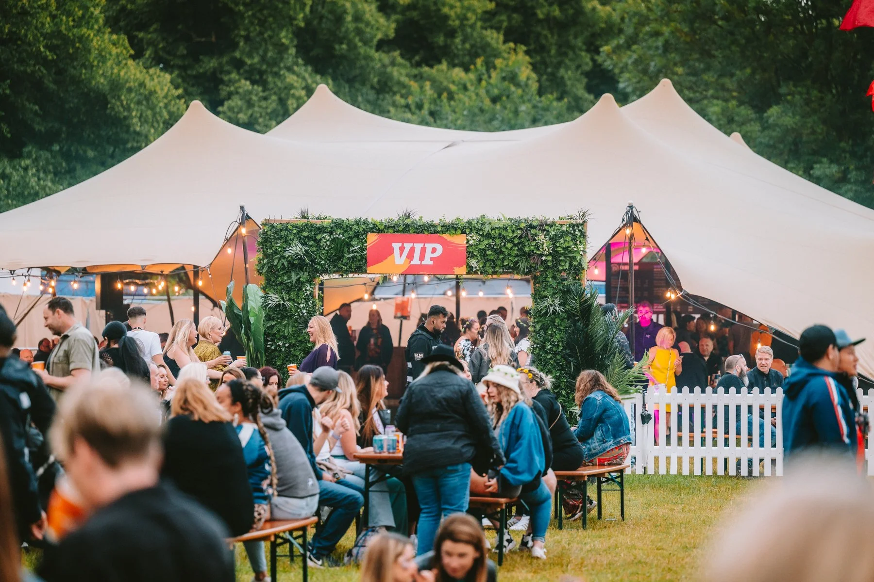 Summertime Live Reading 2024-235.jpg