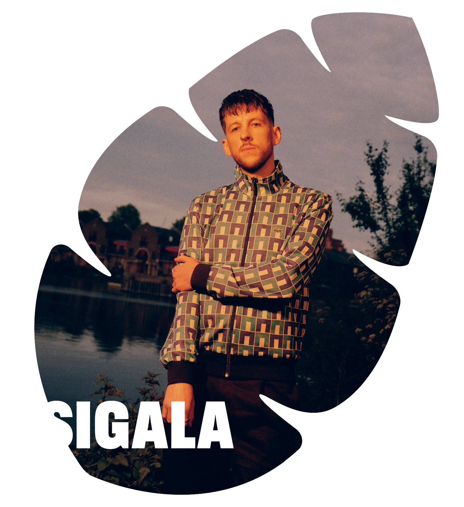 190126-web-artist-cards-sigala.png
