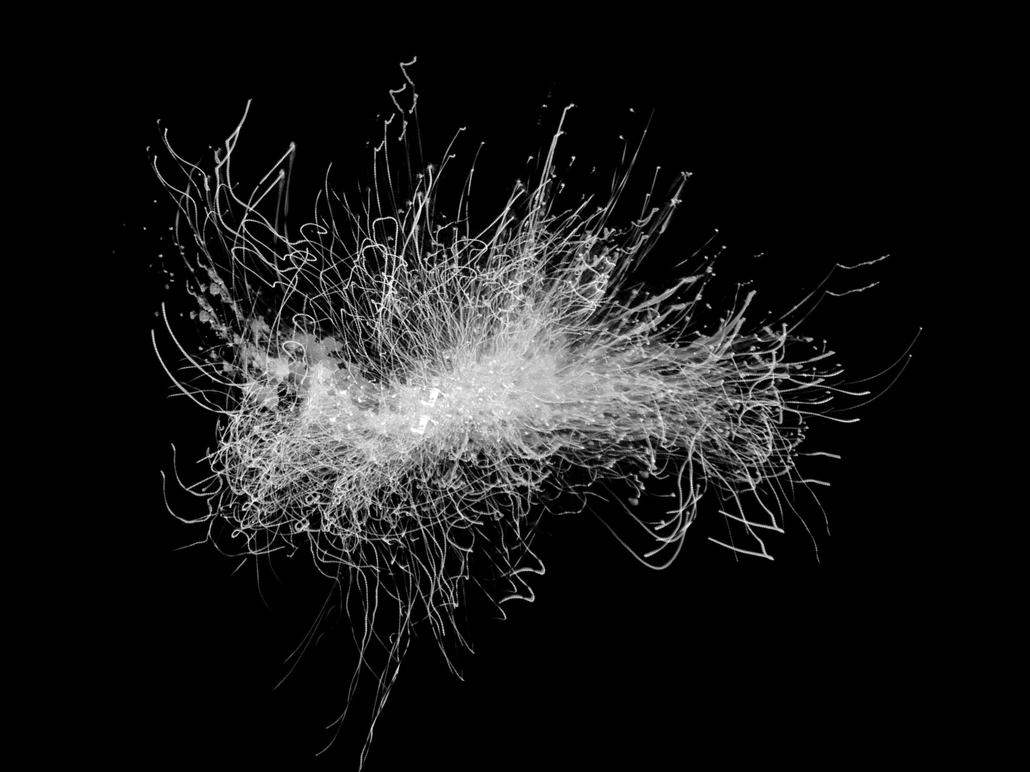 Illustration_sans_titre 1.png