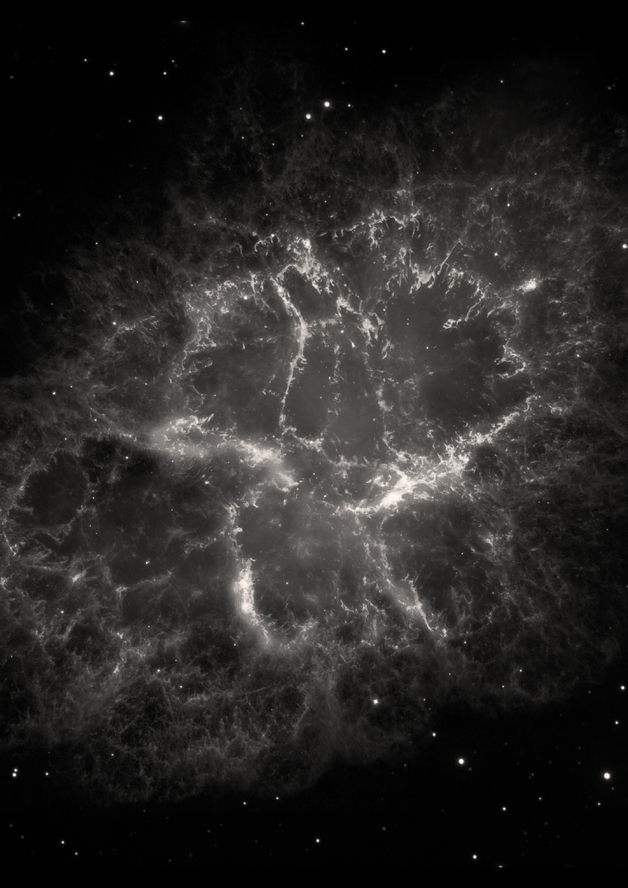 Illustration_sans_titre 25.png