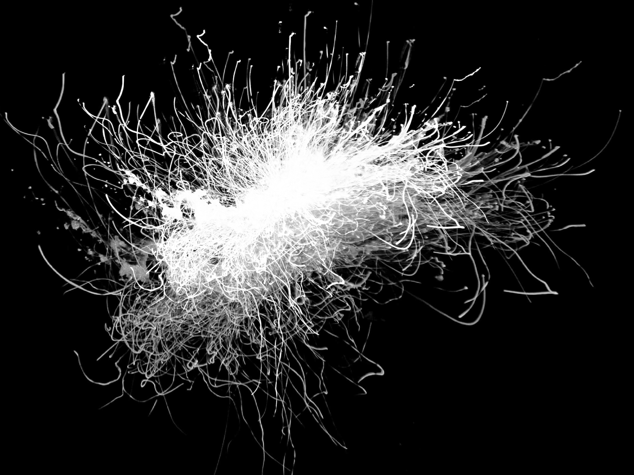 Illustration_sans_titre 2.png