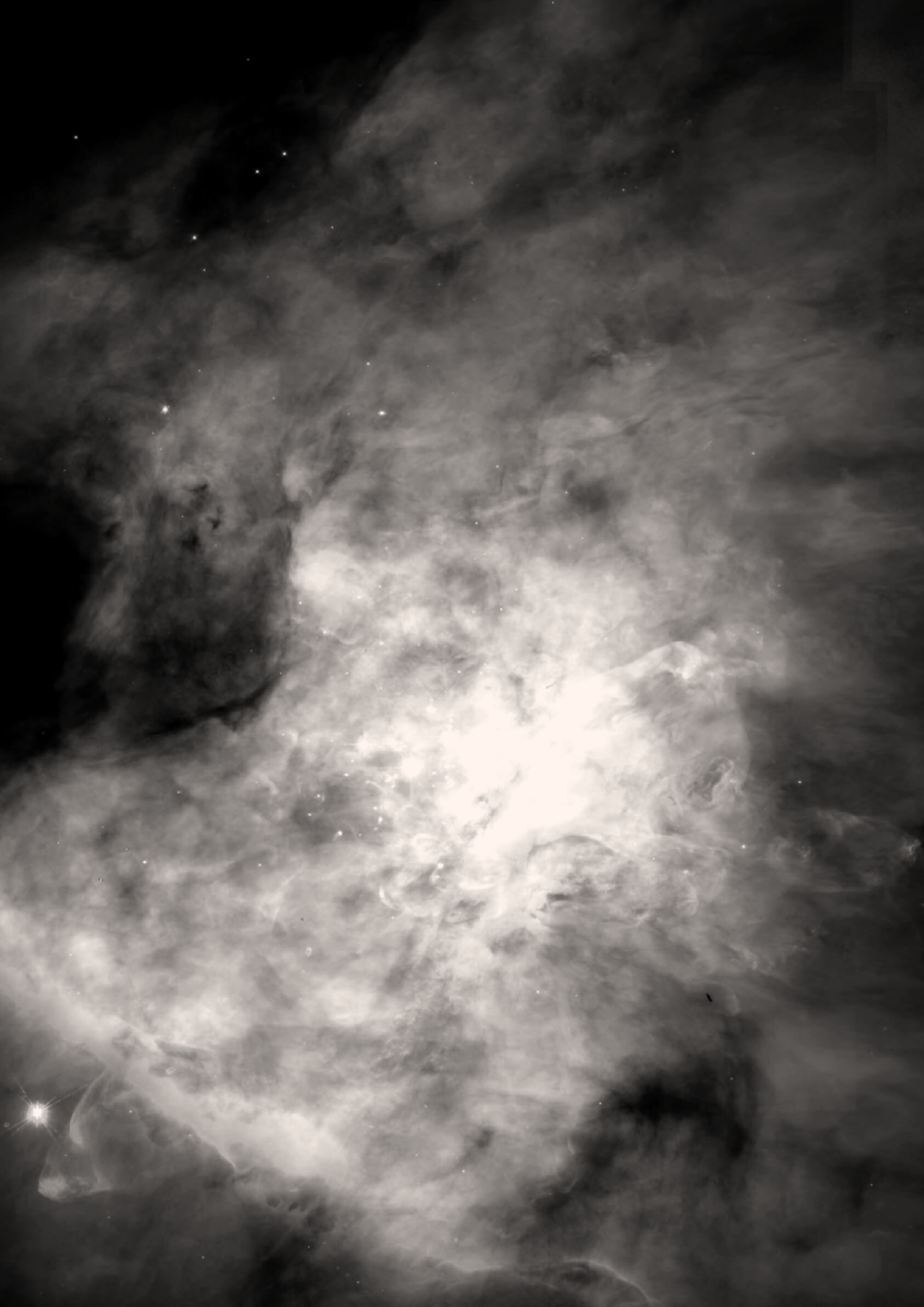 Illustration_sans_titre 21.png