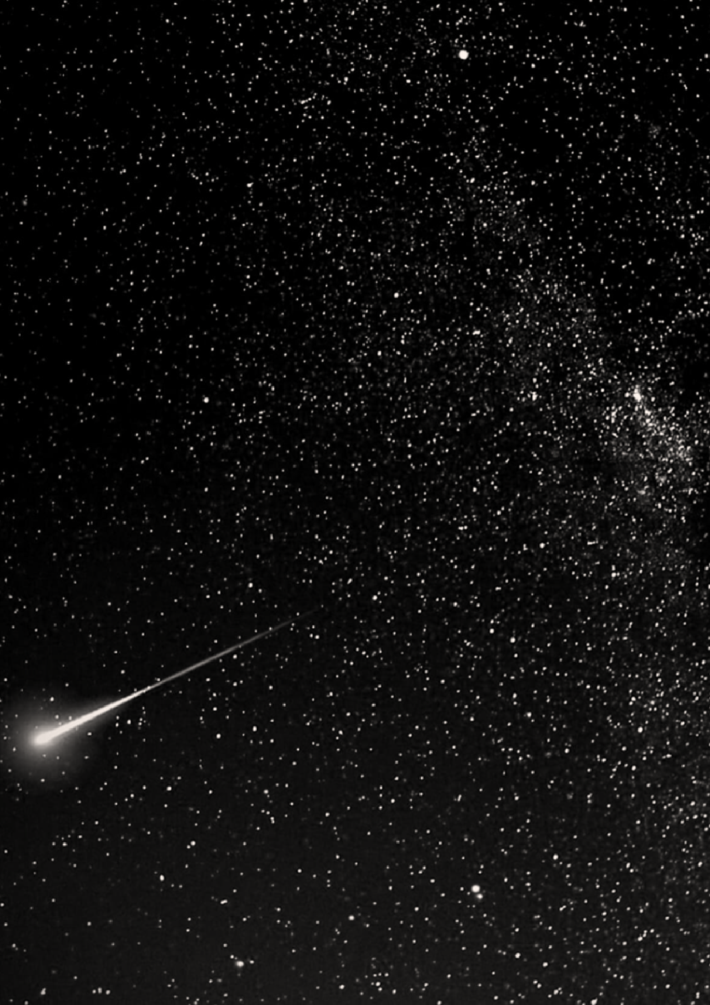 Illustration_sans_titre 29.png