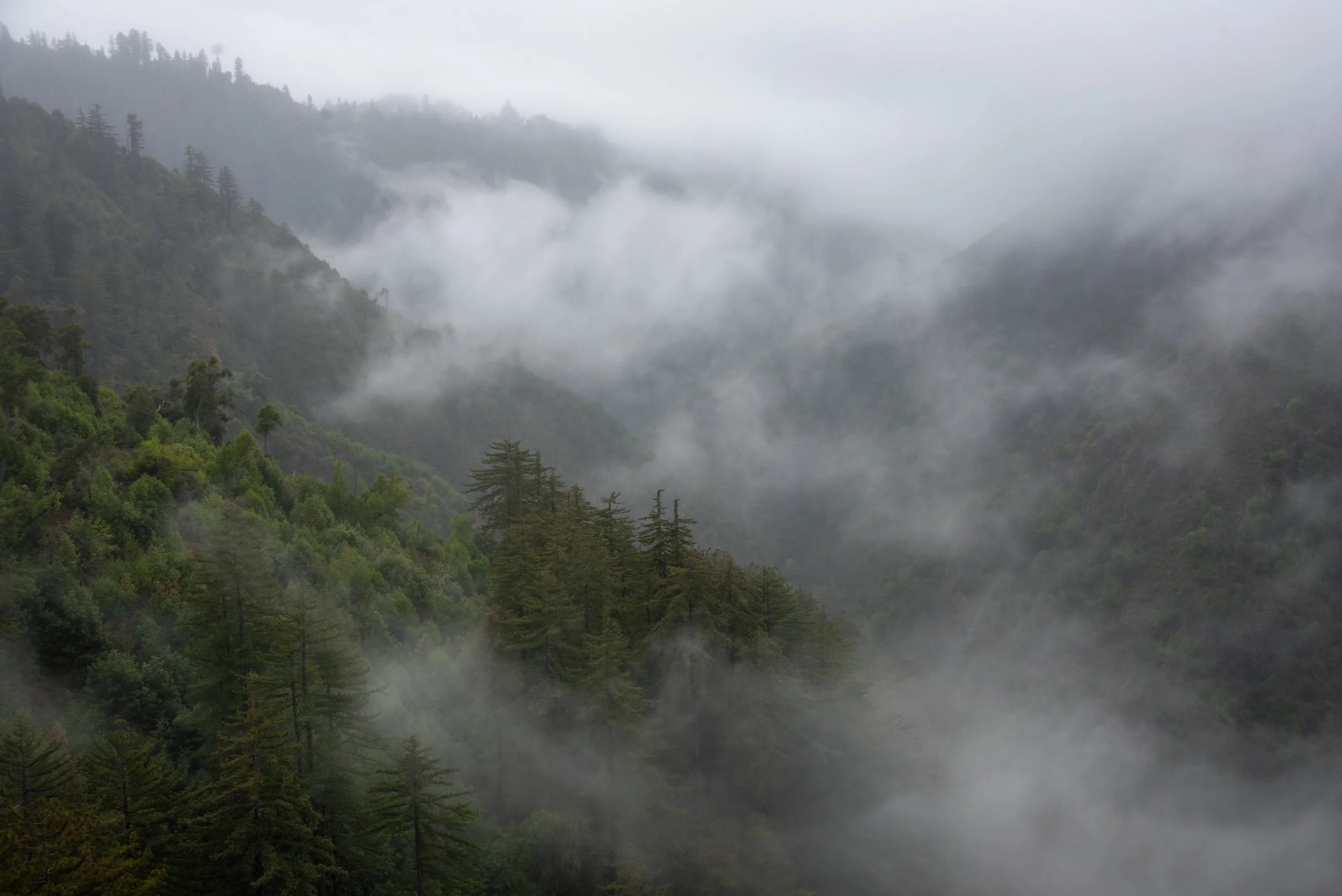 DSC_2454.jpg