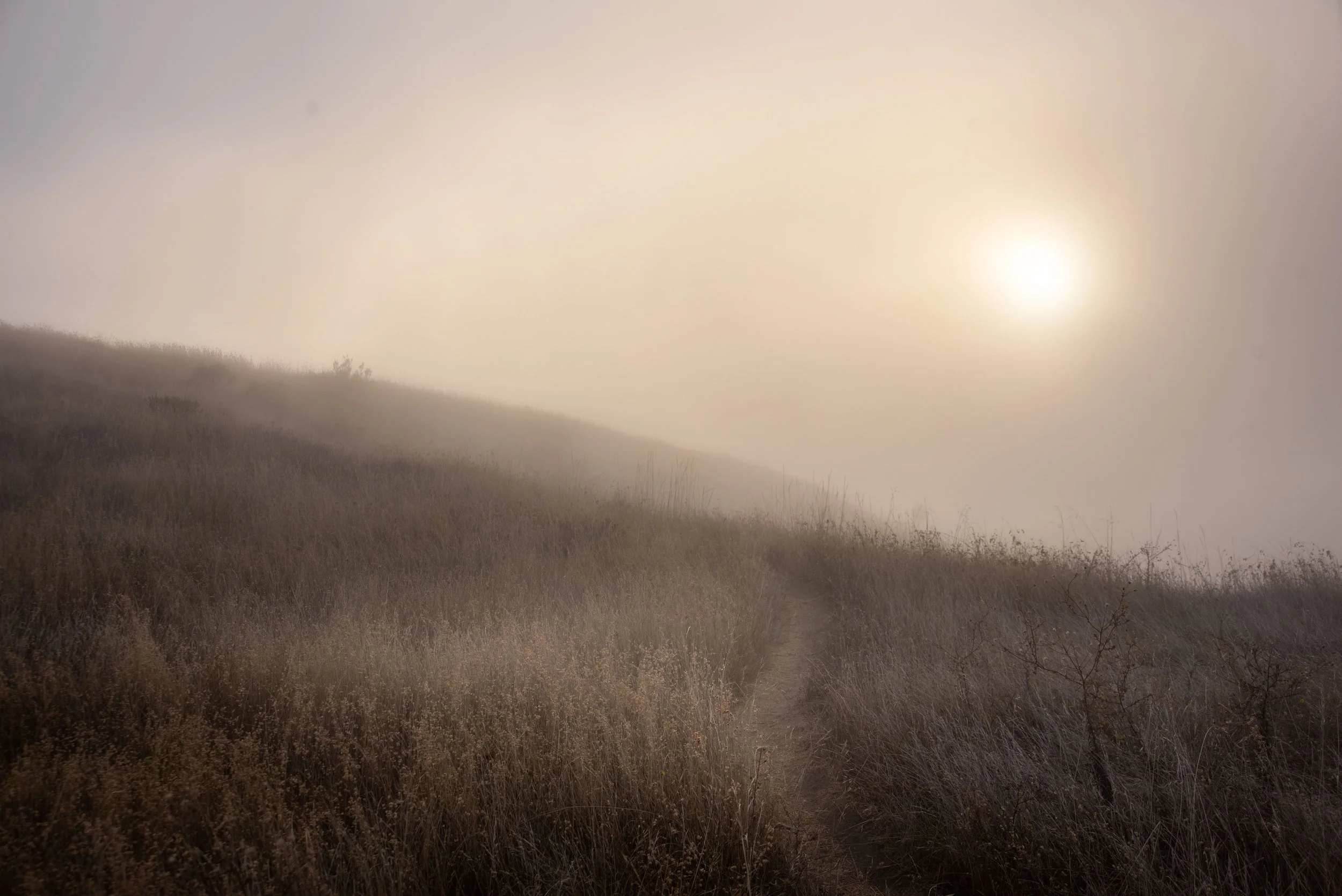 Custom Order - Amora Ebony -Mountain Design - Black Opal - Engraved
