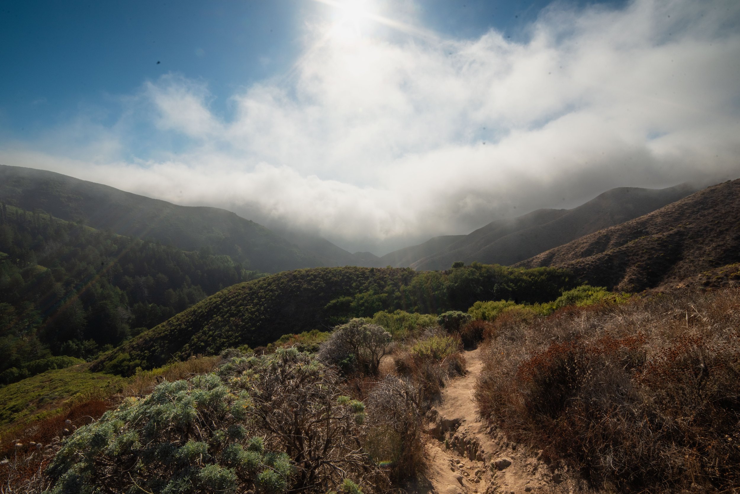 DSC_9197-2.jpg