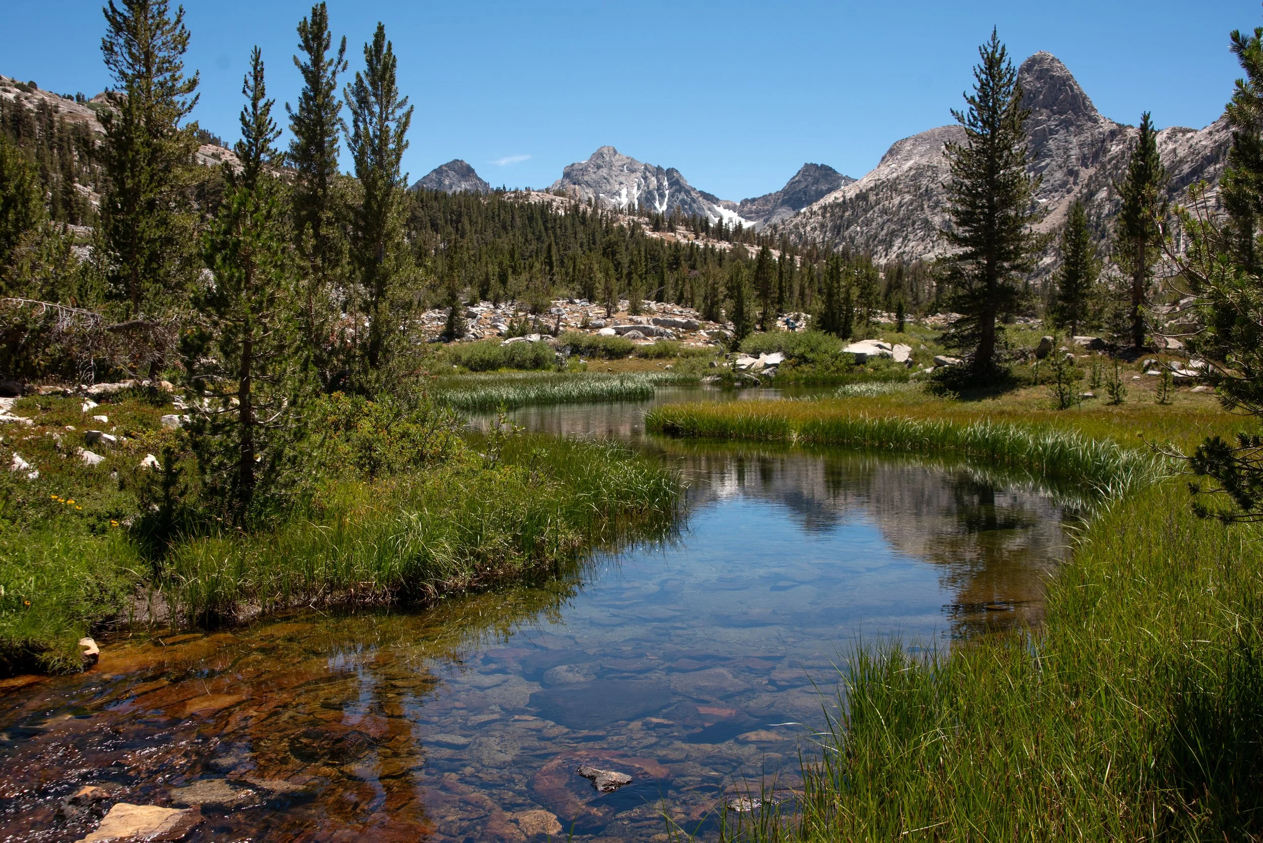 DSC_1724.jpg