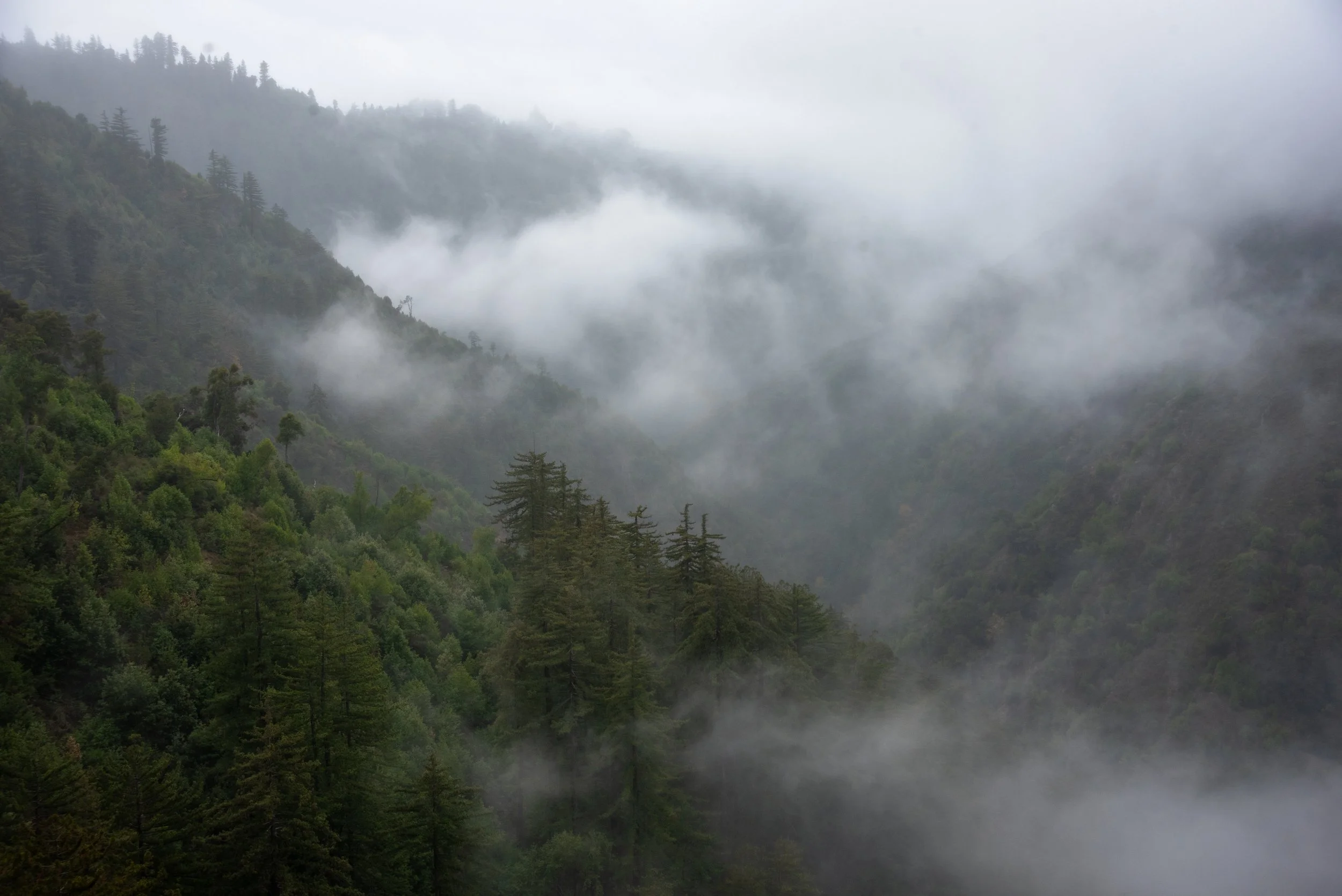 DSC_2447.jpg
