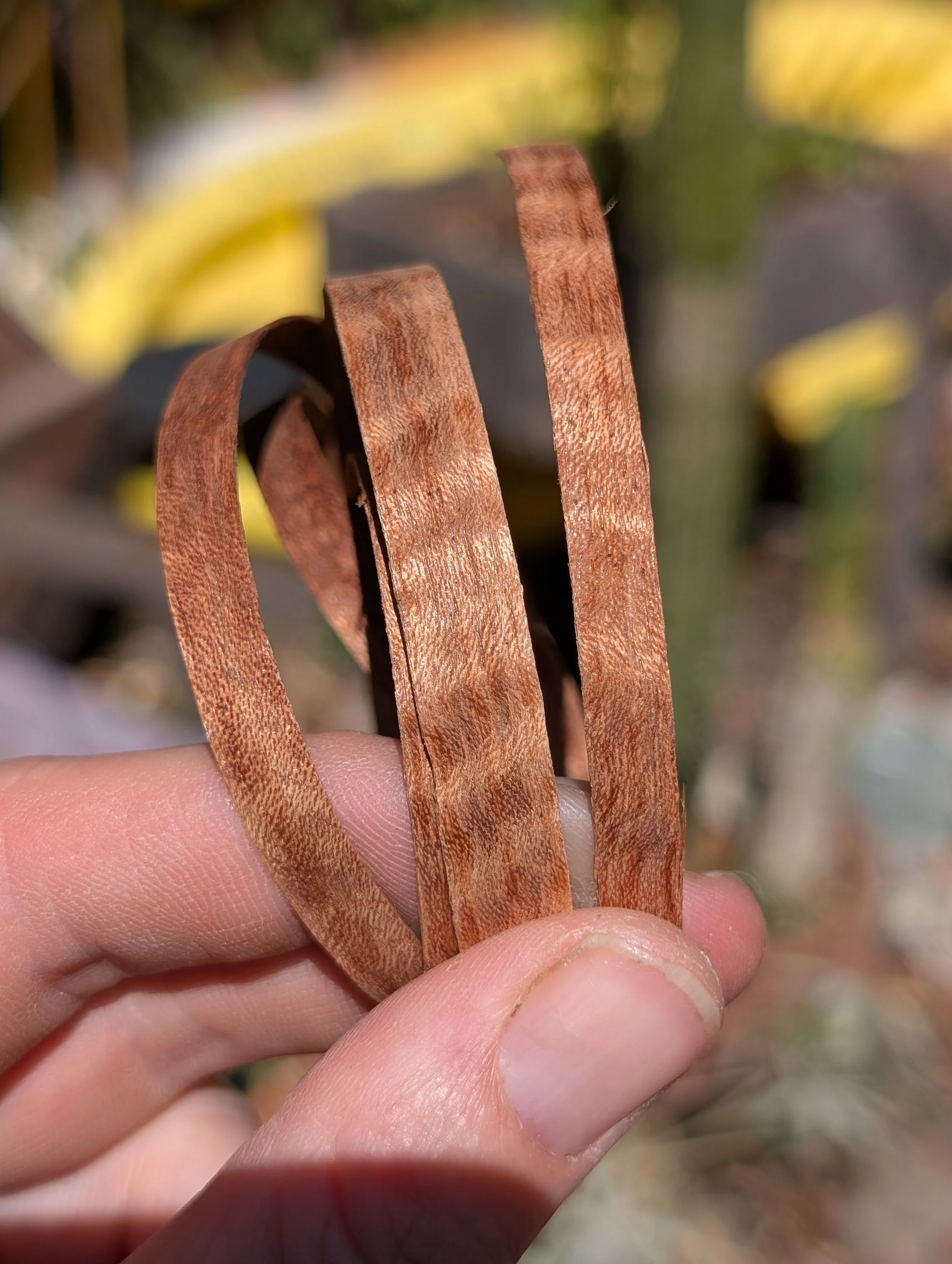 Custom - Smoked Aspen - Turquoise
