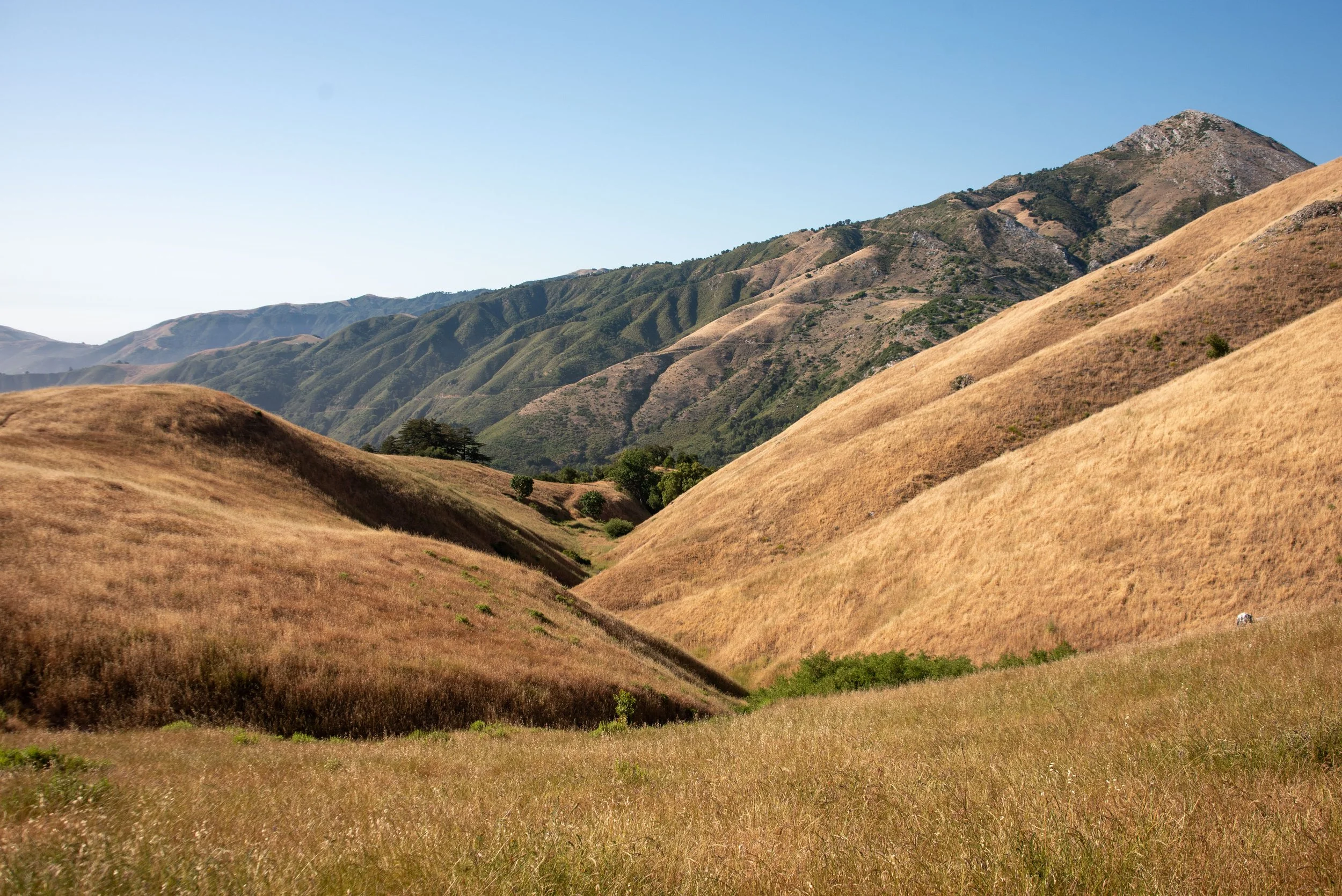 Custom - Rosewood - Aquamarine - White Opal, Black Ceramic