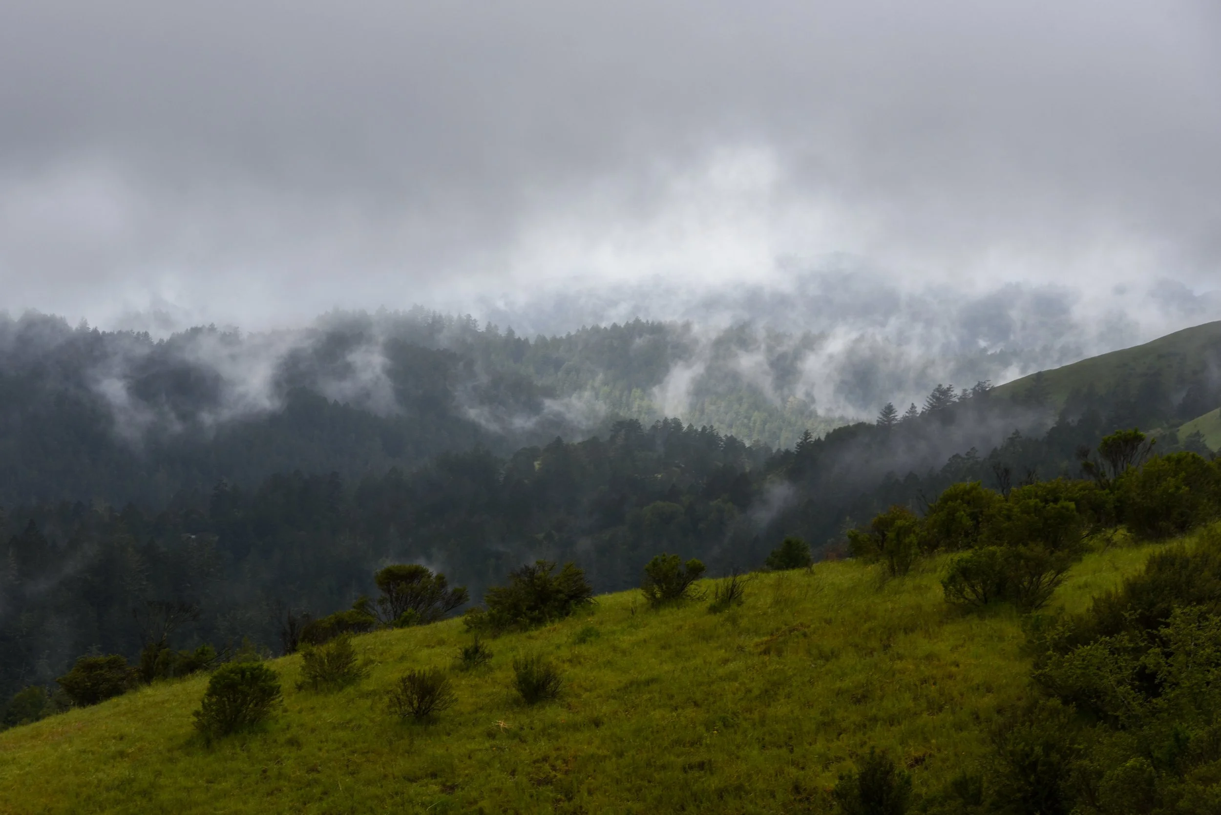 DSC_3567.jpg