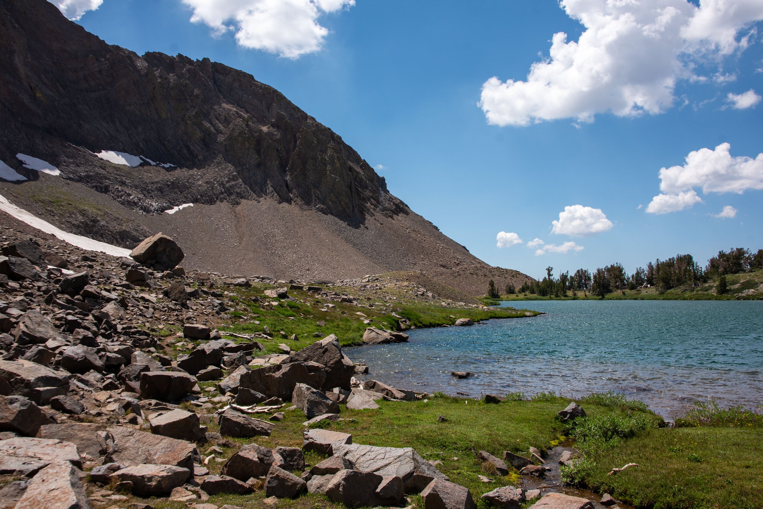 DSC_7908.jpg