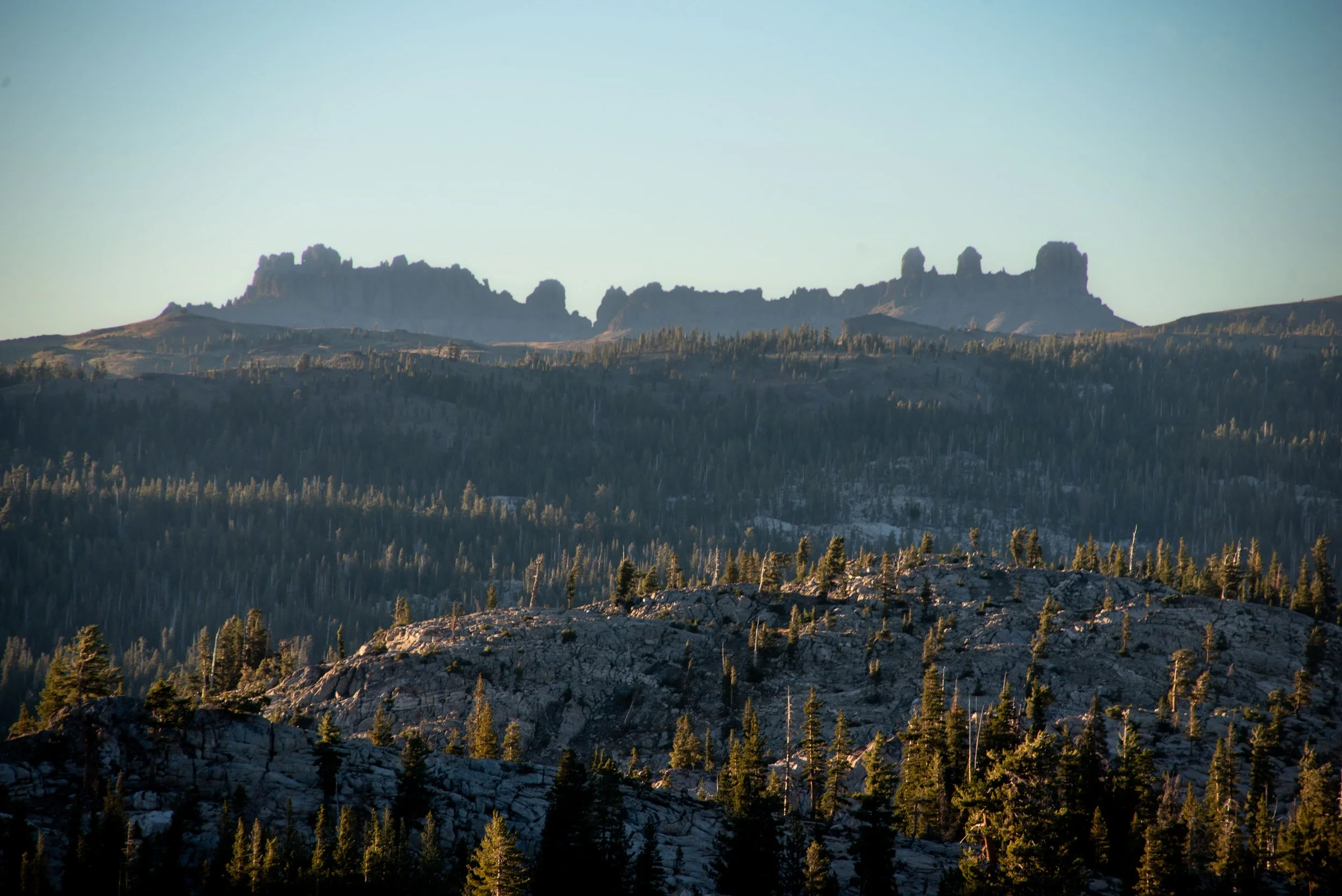 DSC_8694.jpg