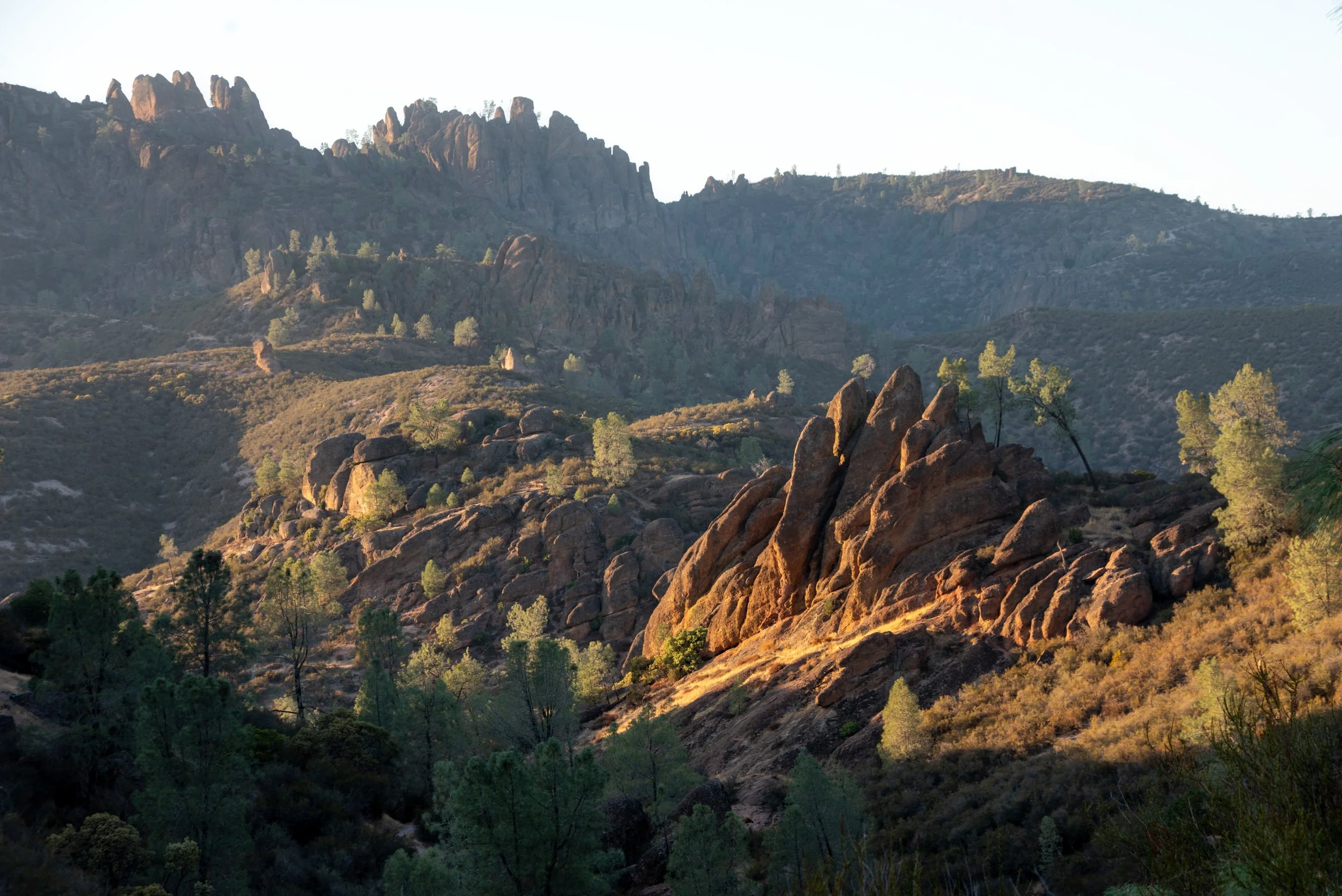 Custom Order - Tungsten - Smoked Rosewood - Black Fire Opal