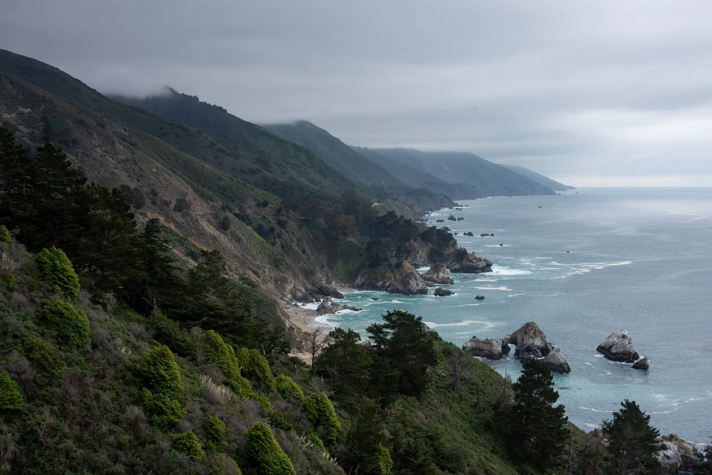 DSC_3212.jpg