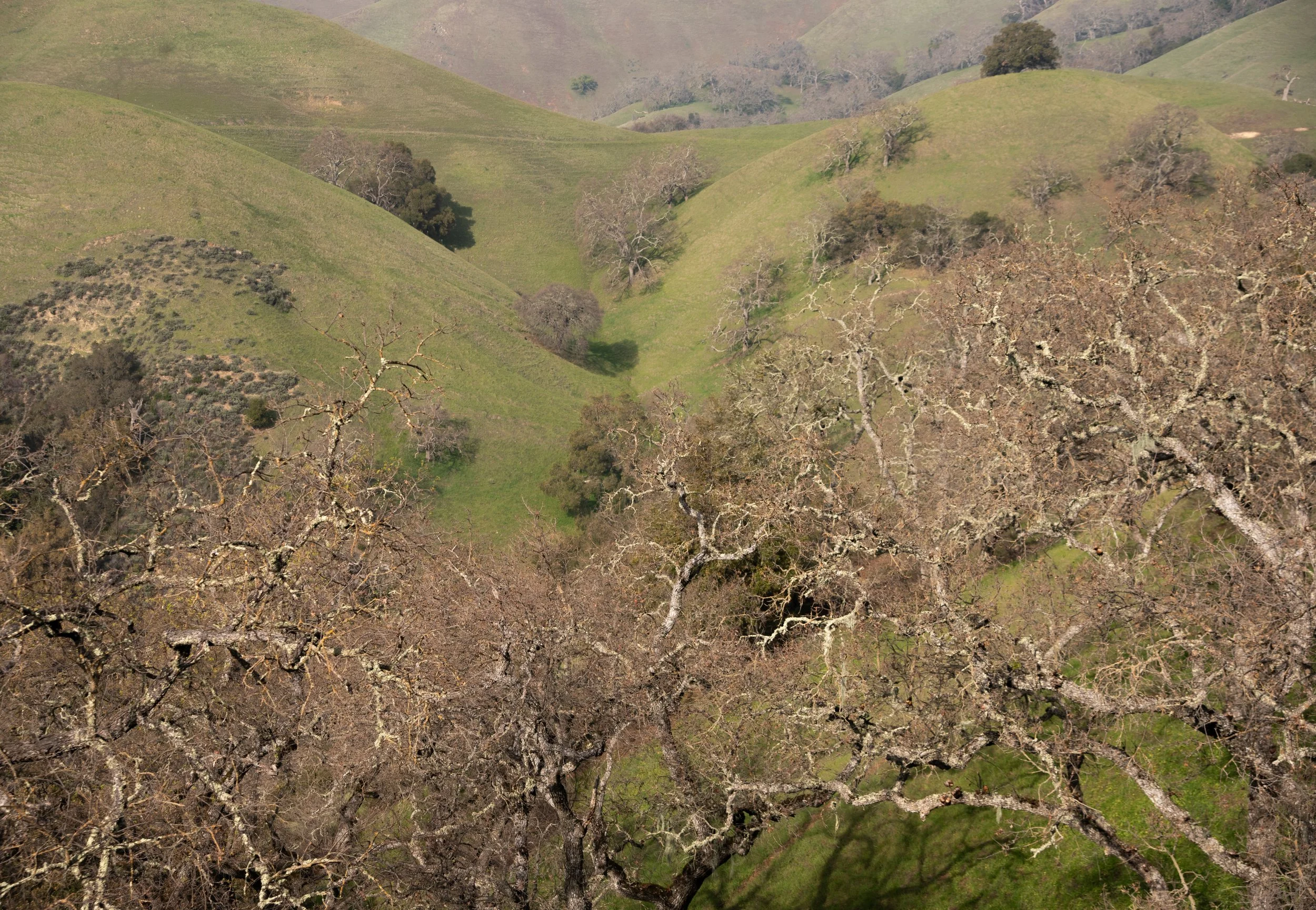 DSC_3016.jpg