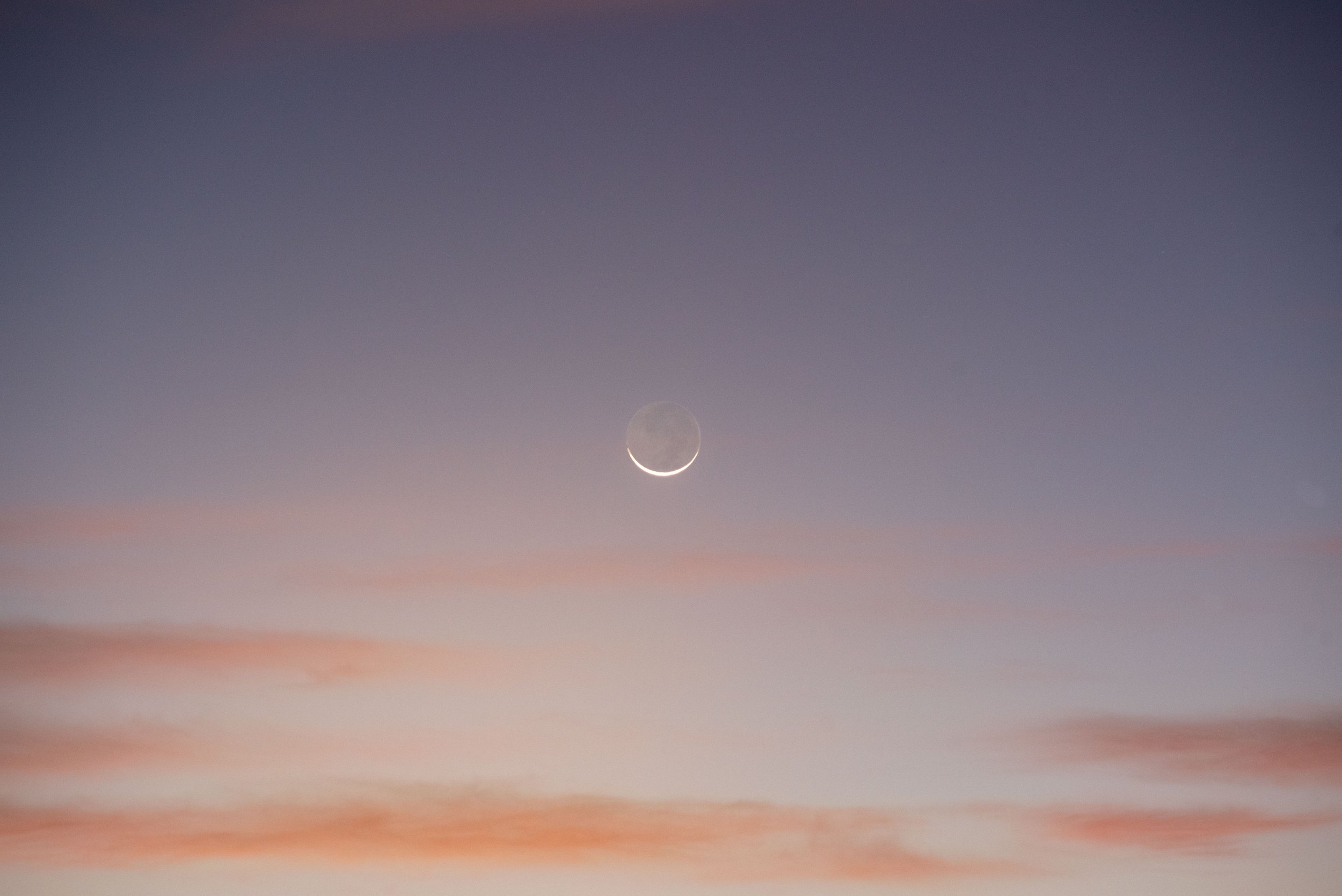 DSC_6822.jpg
