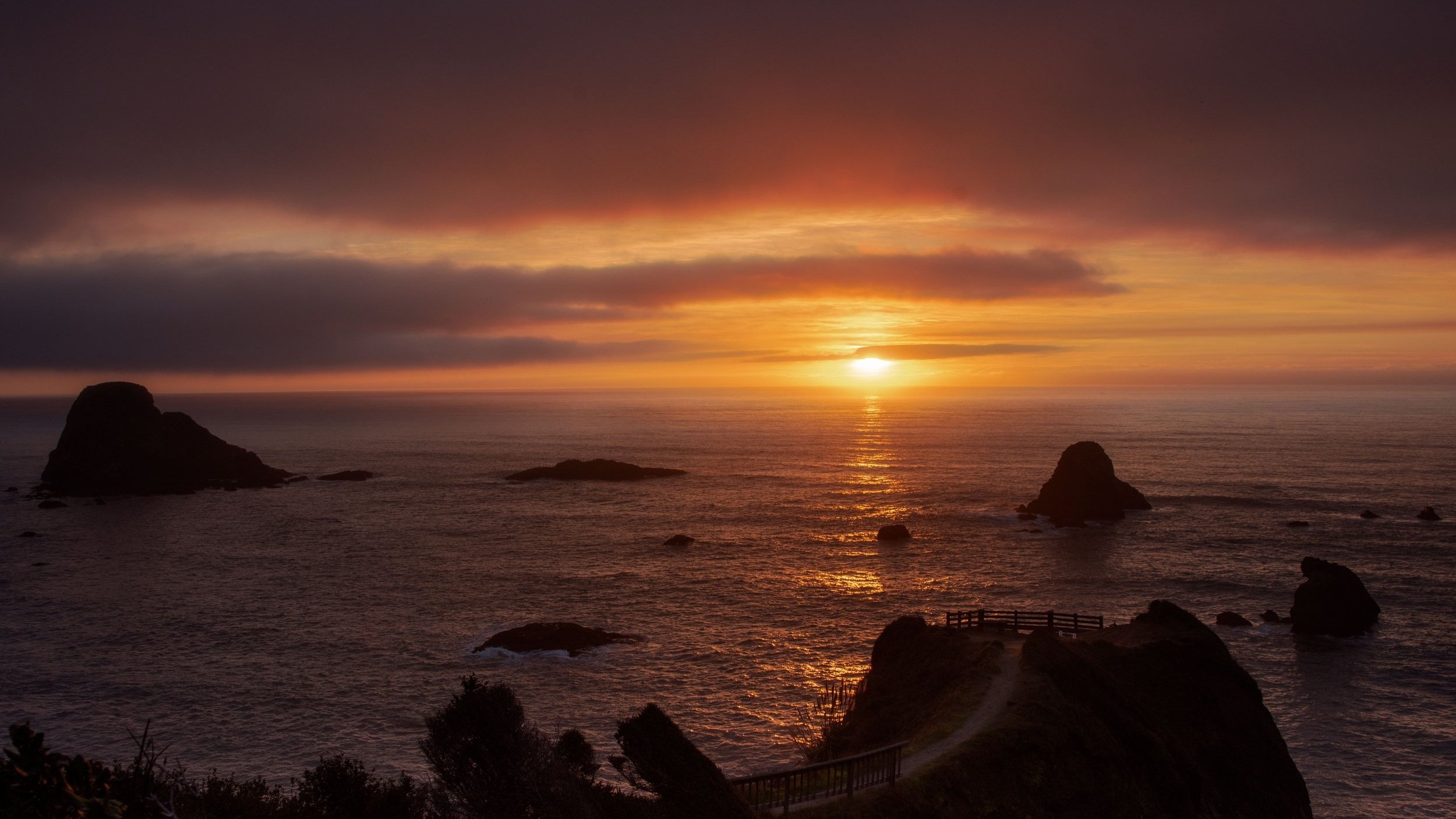 DSC_0066-1.jpg