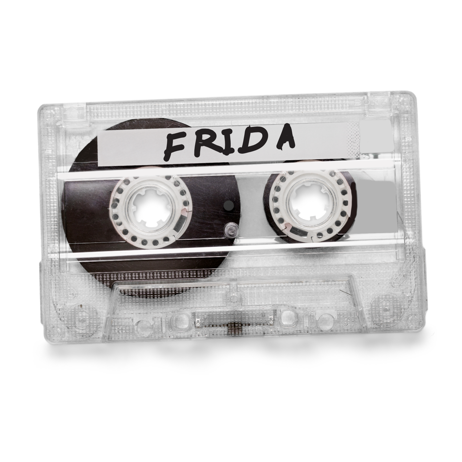 95_FRIDA.png