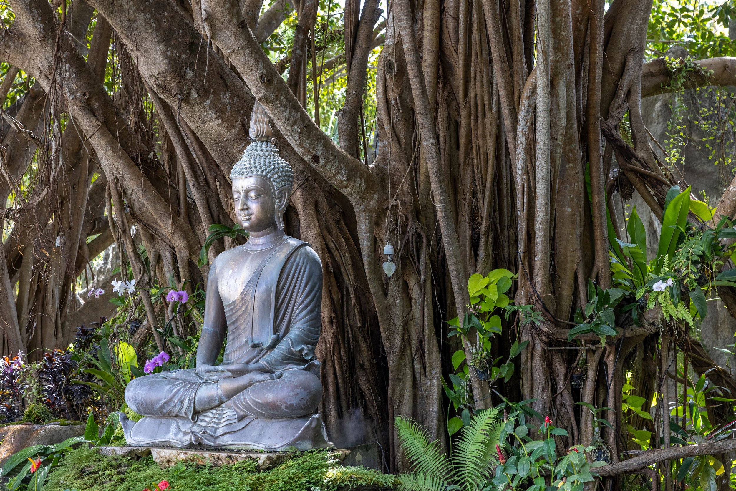 Thailand 2025 IMGC7036 Export.jpg