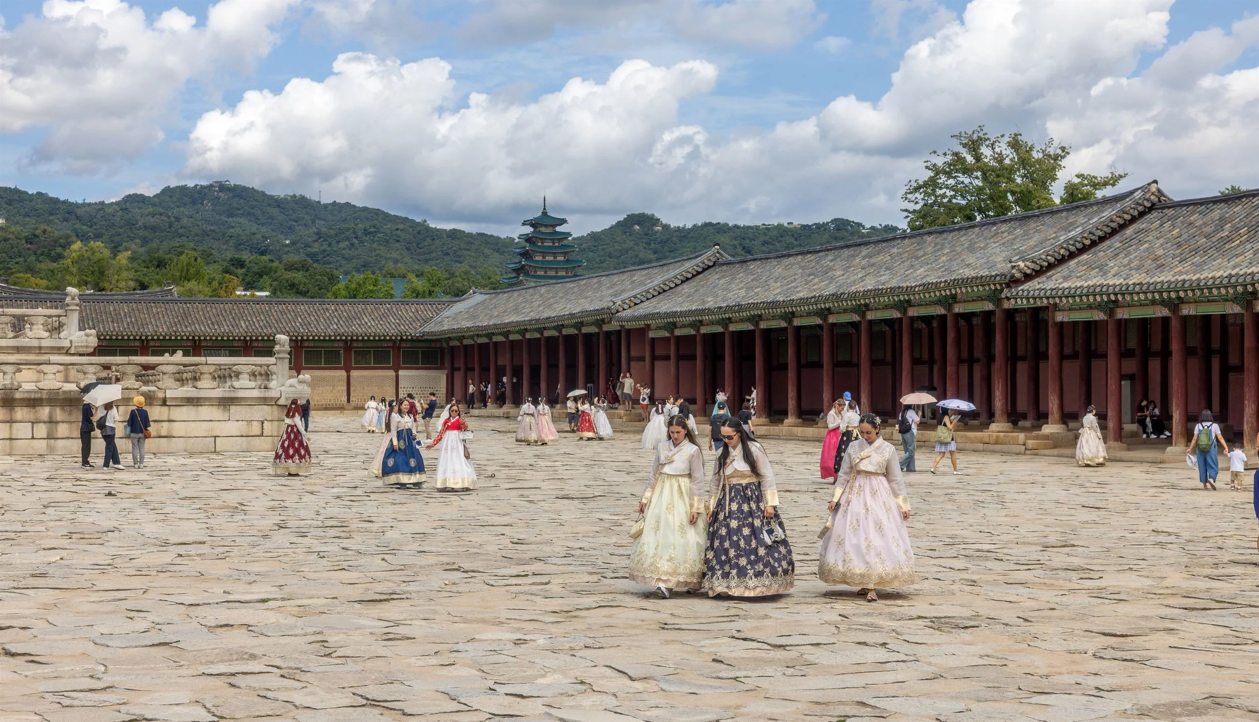 Korea 2025 IMGC4922 Export.jpg