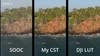 DJI D-Log-M Color Grading — Zeb Gardner