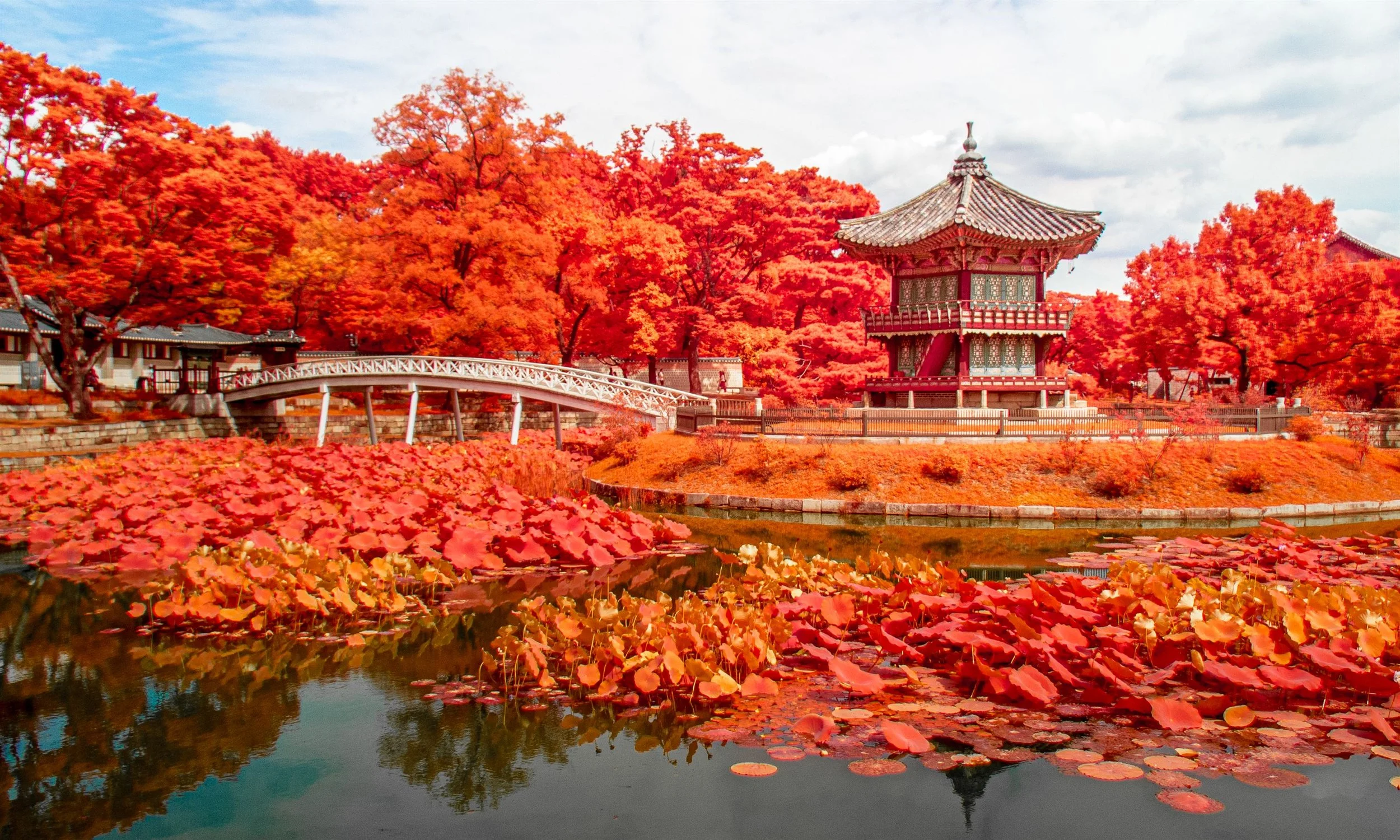 Korea 2025 IMG_1666 Export.jpg