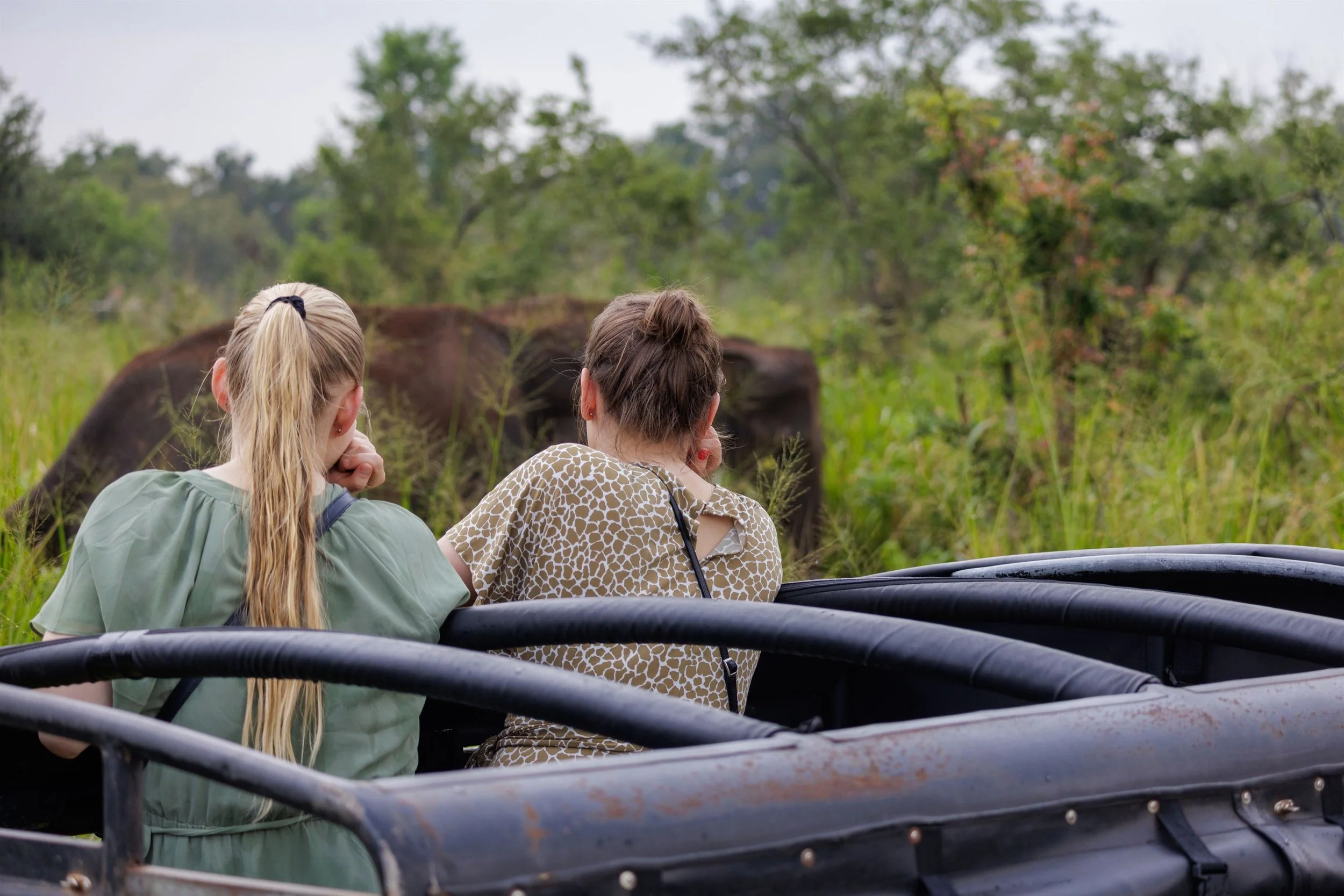 Sri Lanka 2024 IMGC4356 Export.jpg