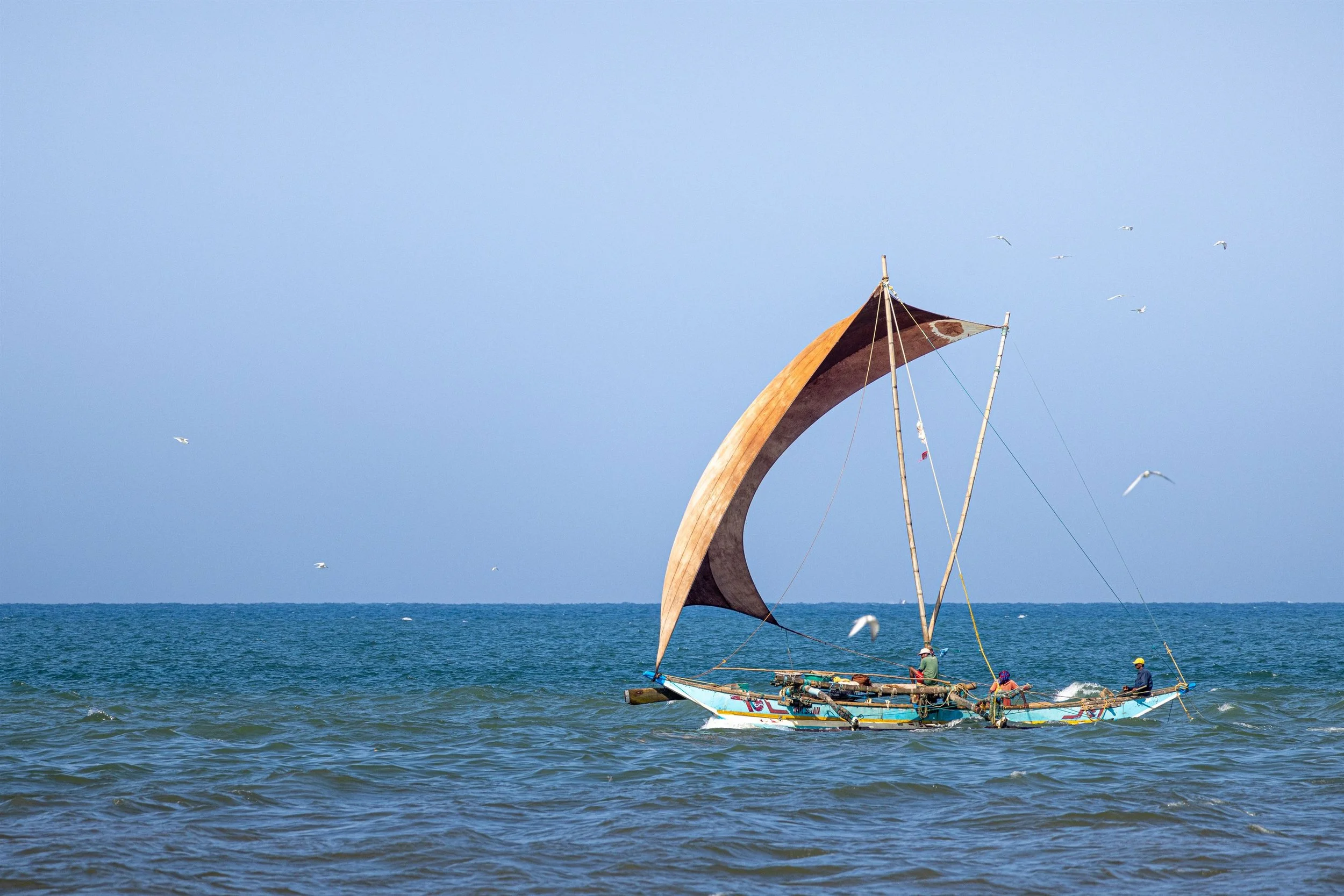 Sri Lanka 2024 IMGC3817 Export.jpg