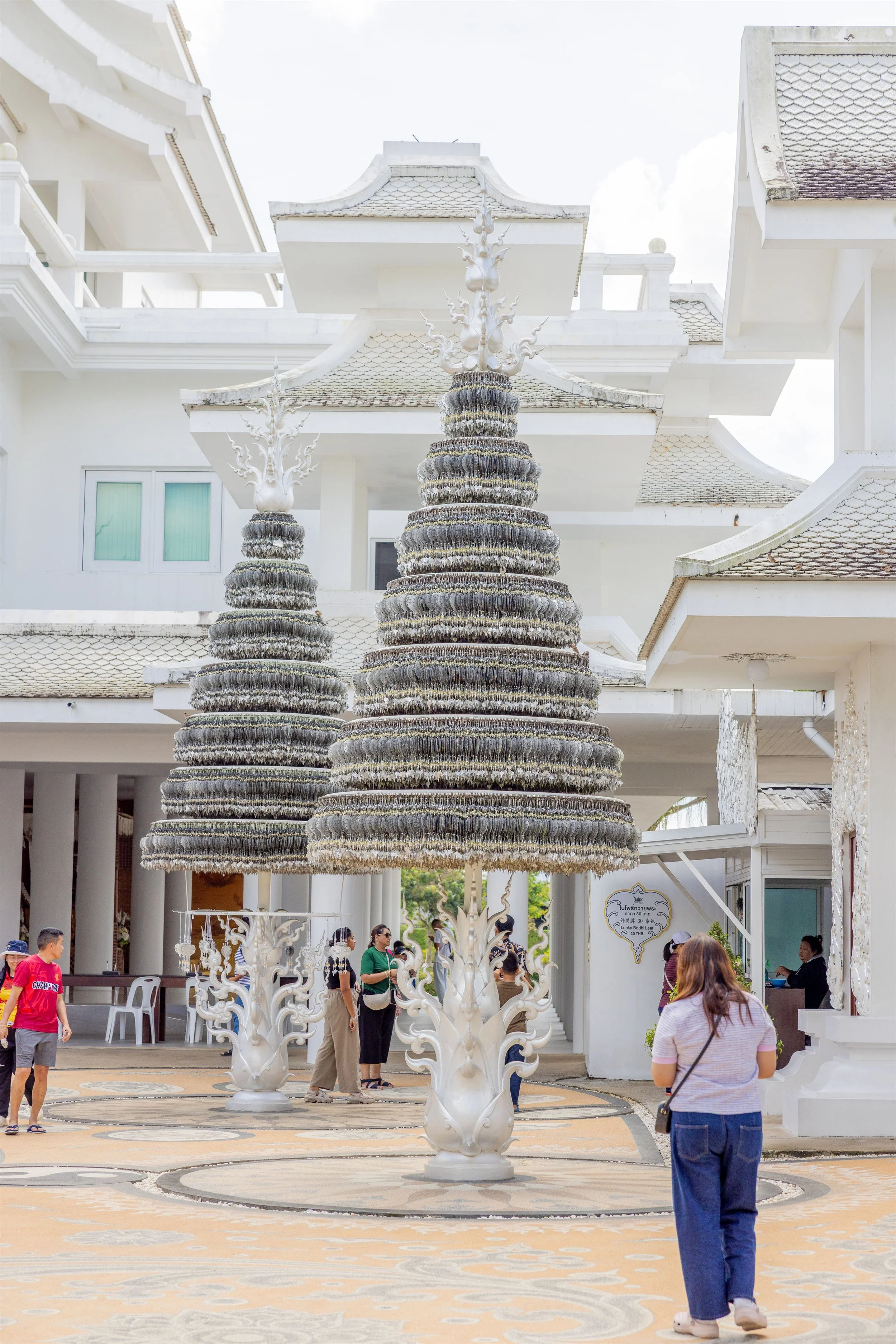 Thailand 2025 IMGC7108 Export.jpg