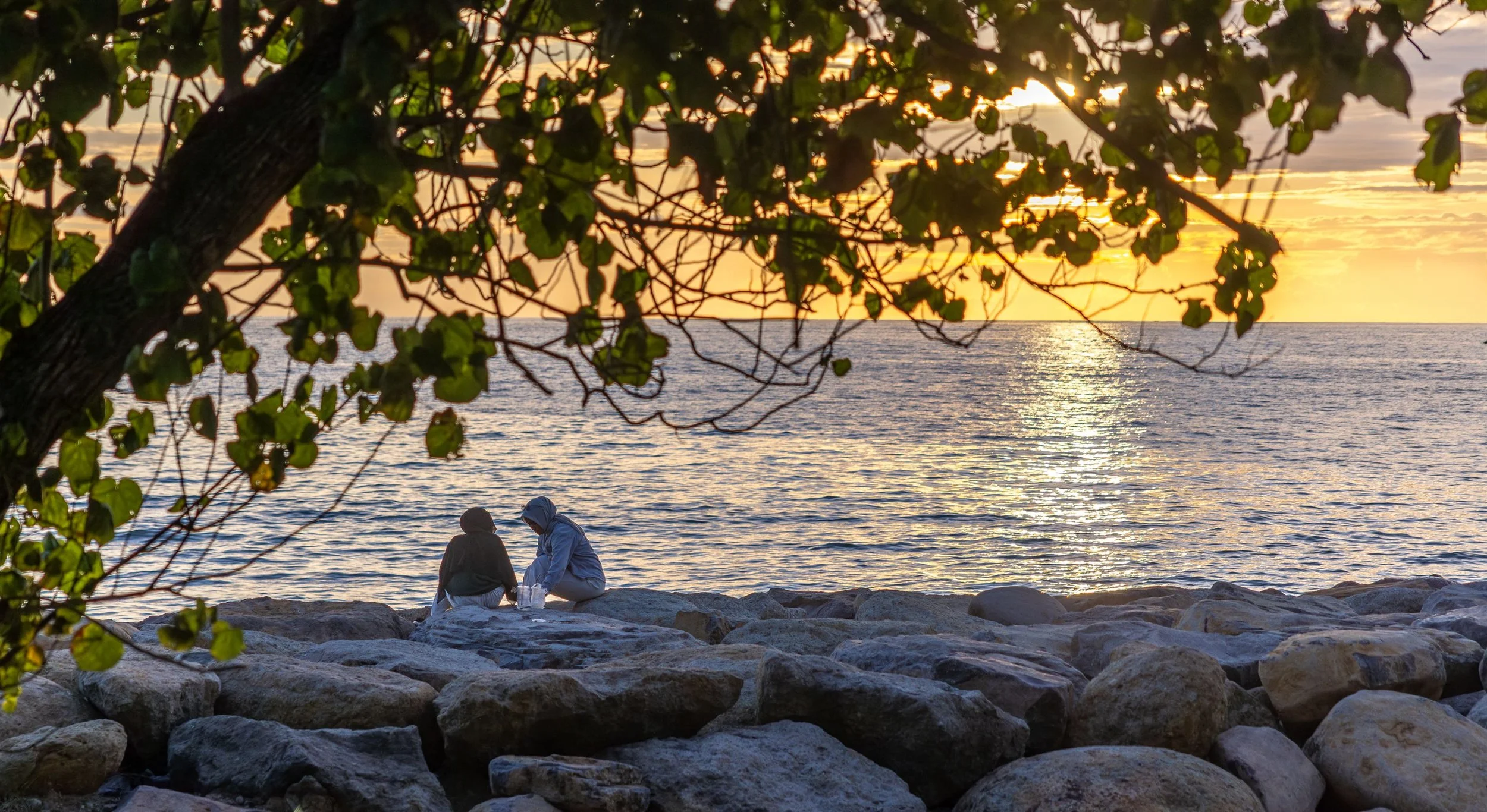 Sumatra 2025 IMGC4979 Export.jpg