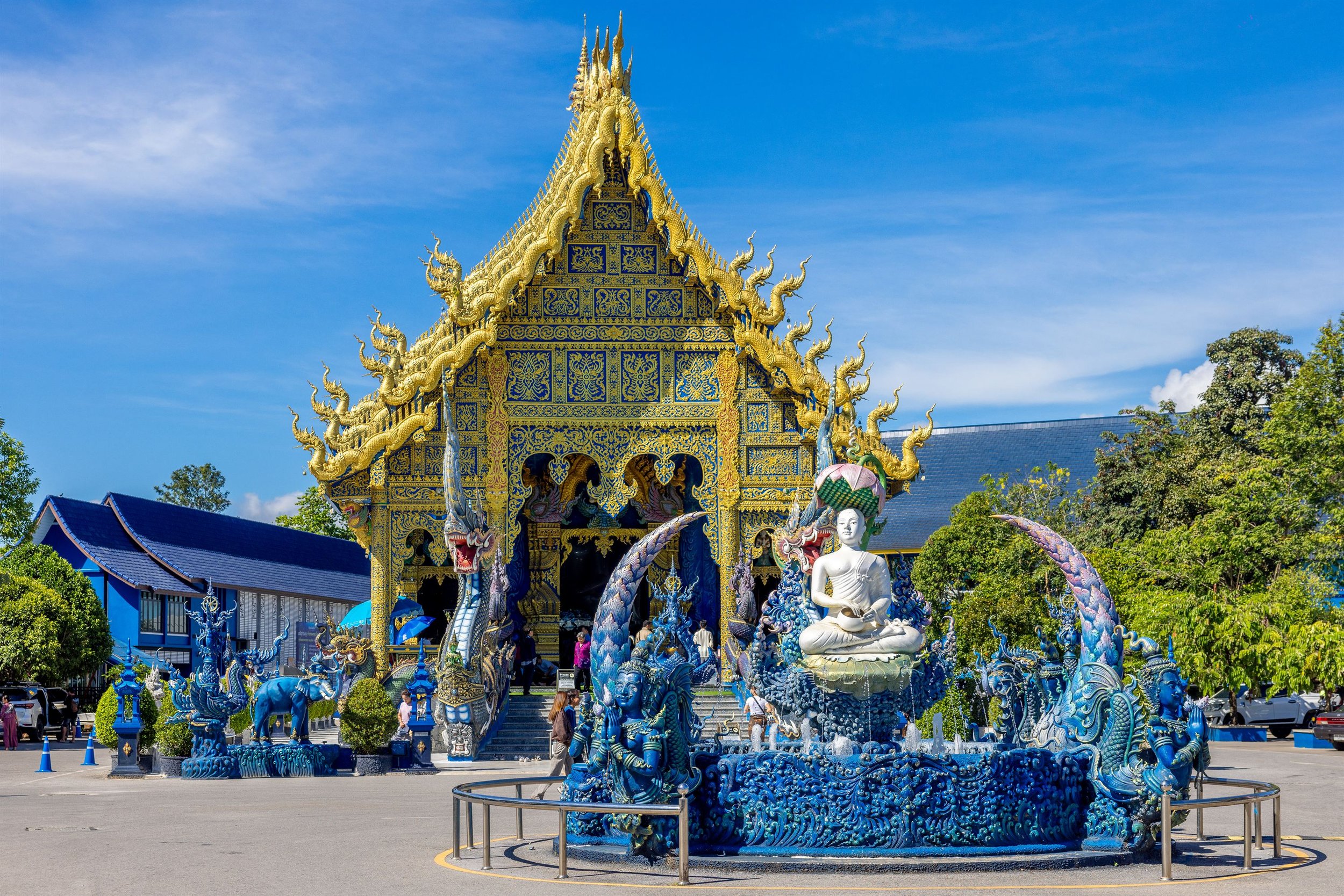 Thailand 2025 IMGC7437 Export.jpg