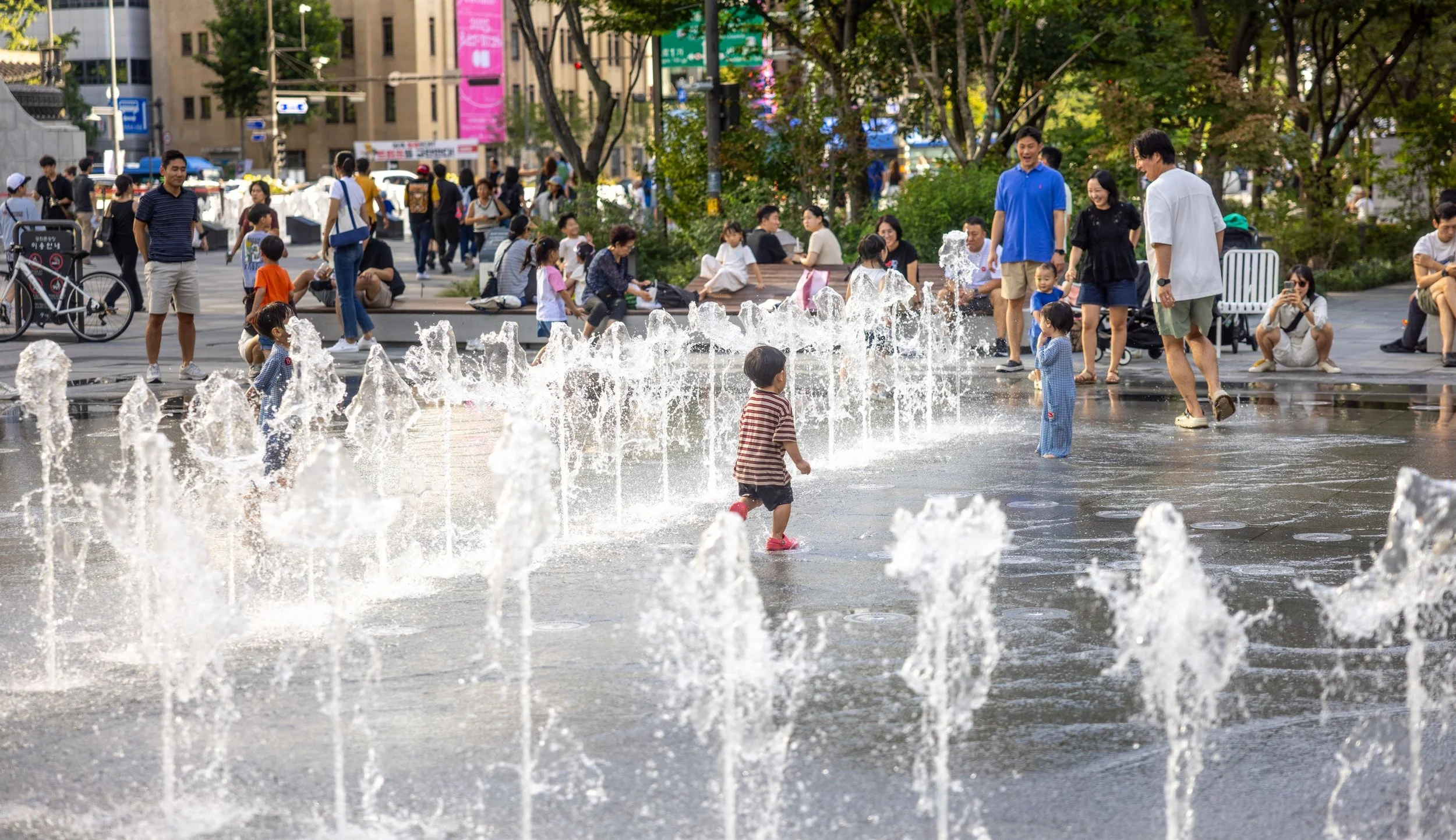 Korea 2025 IMGC5084 Export.jpg