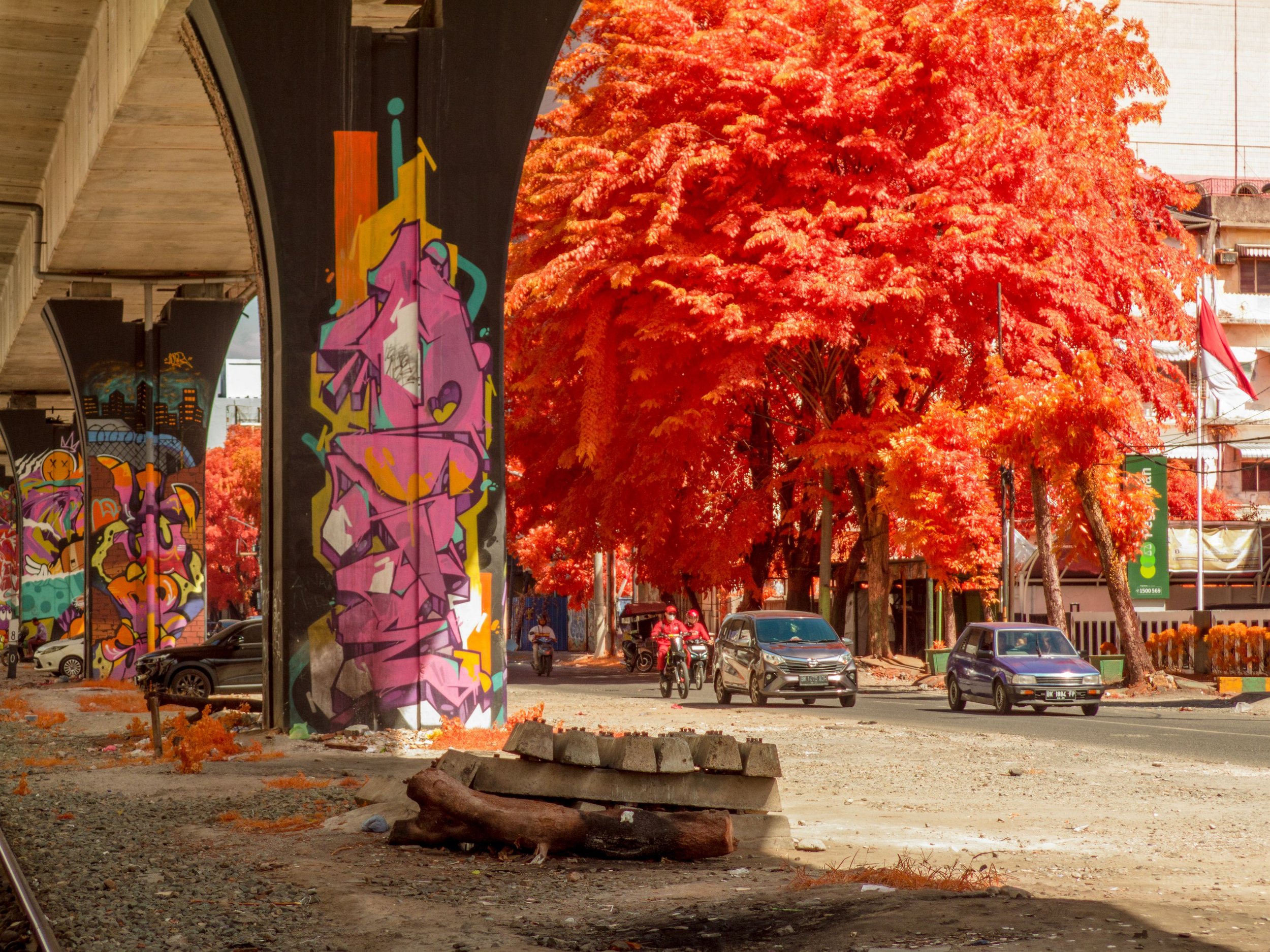 Sumatra 2025 IMG_1092 Export.jpg